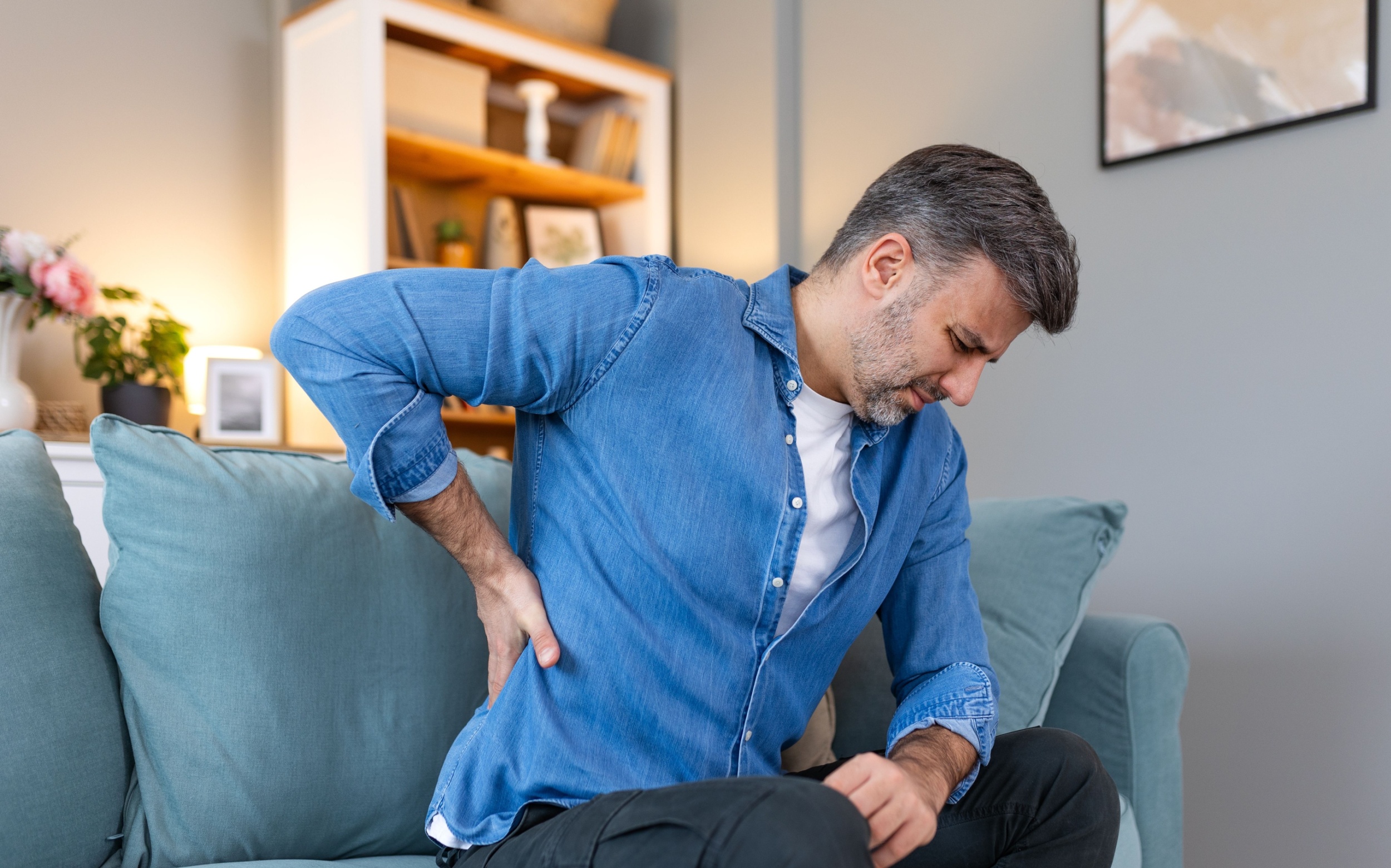 Chronic back pain may be caused by invading nerve fibers