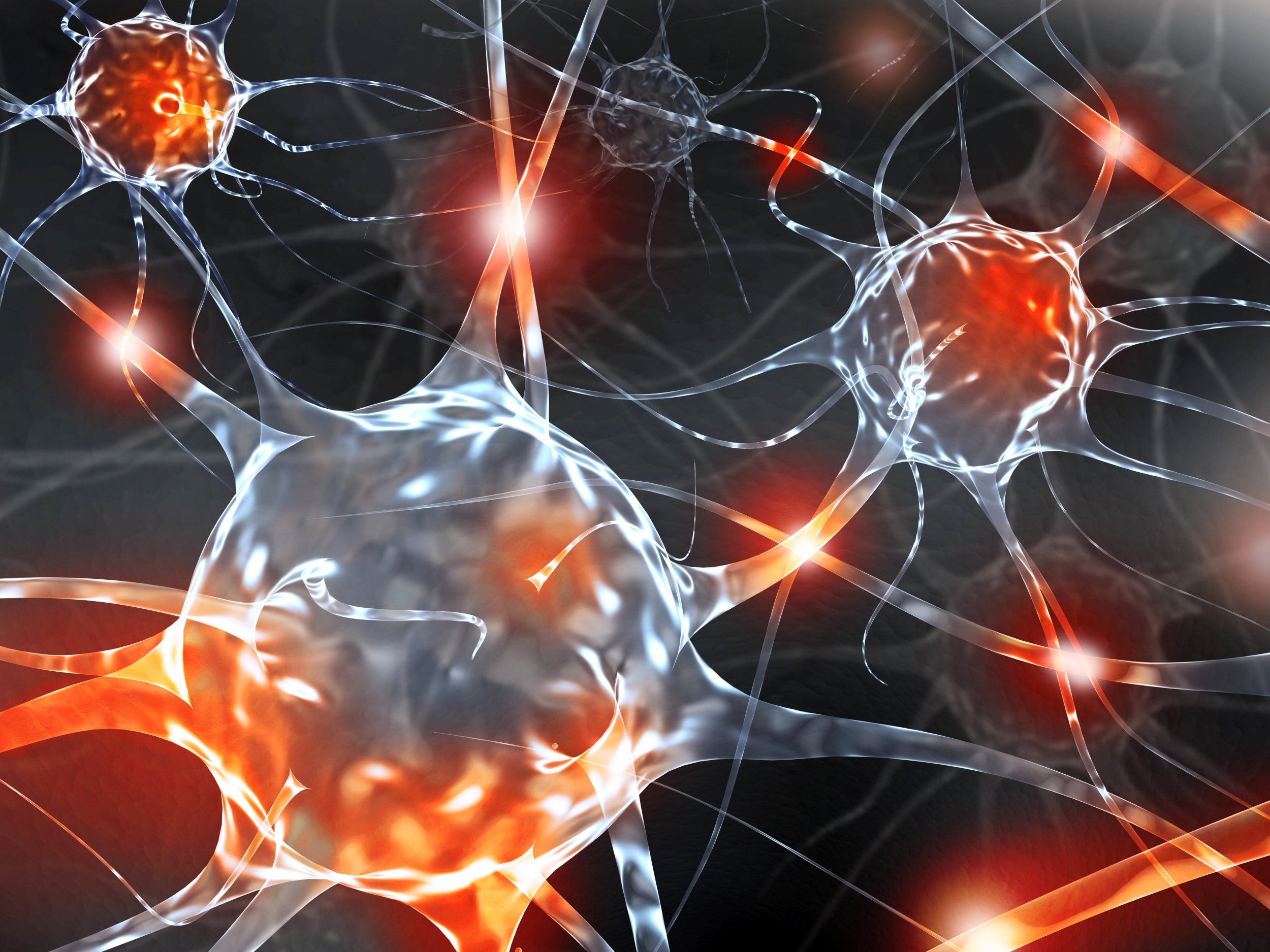 Toxic protein pair may explain how Alzheimer’s destroys brain cells