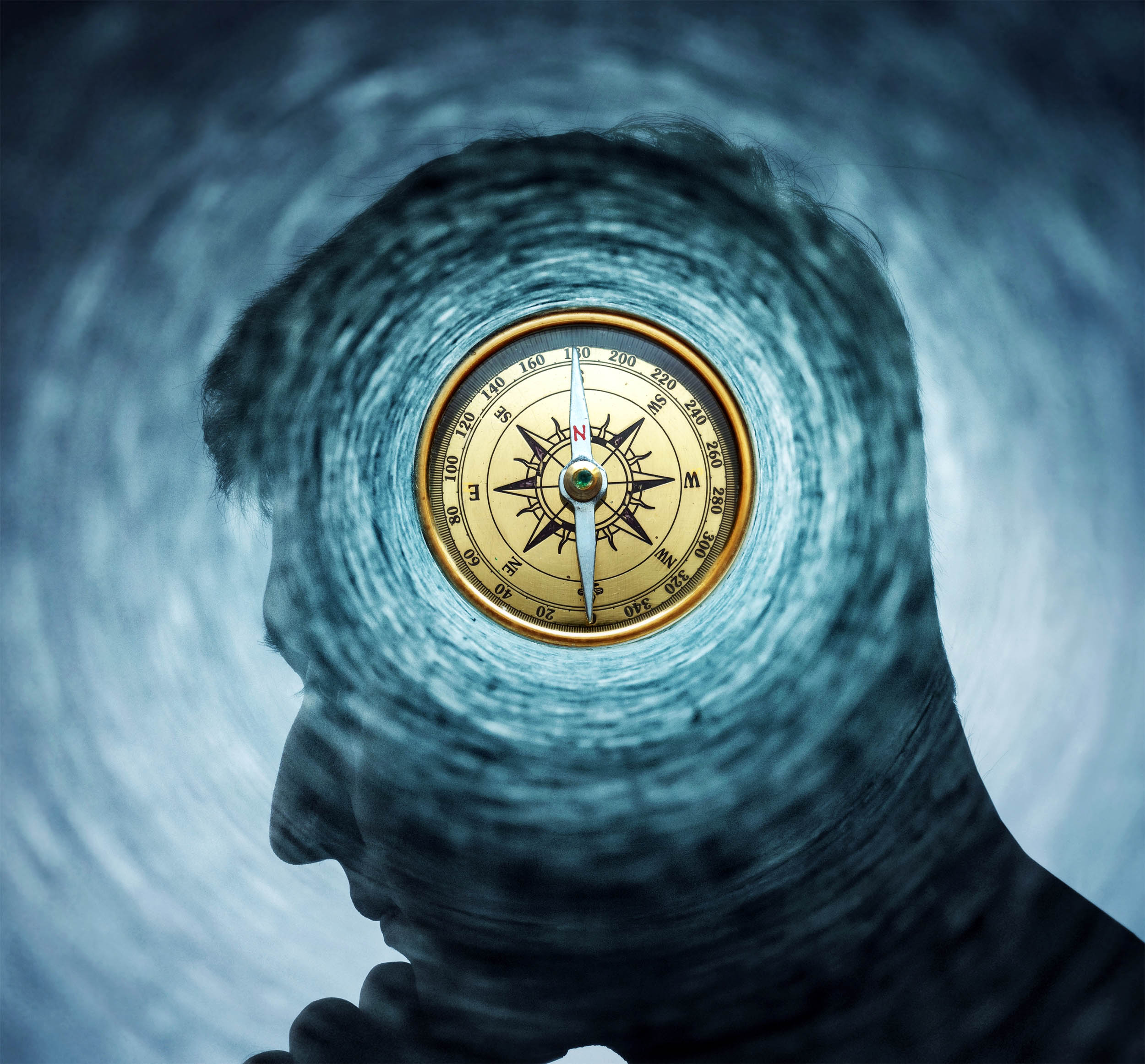 Memory and the brain's internal compass may share a common pathway