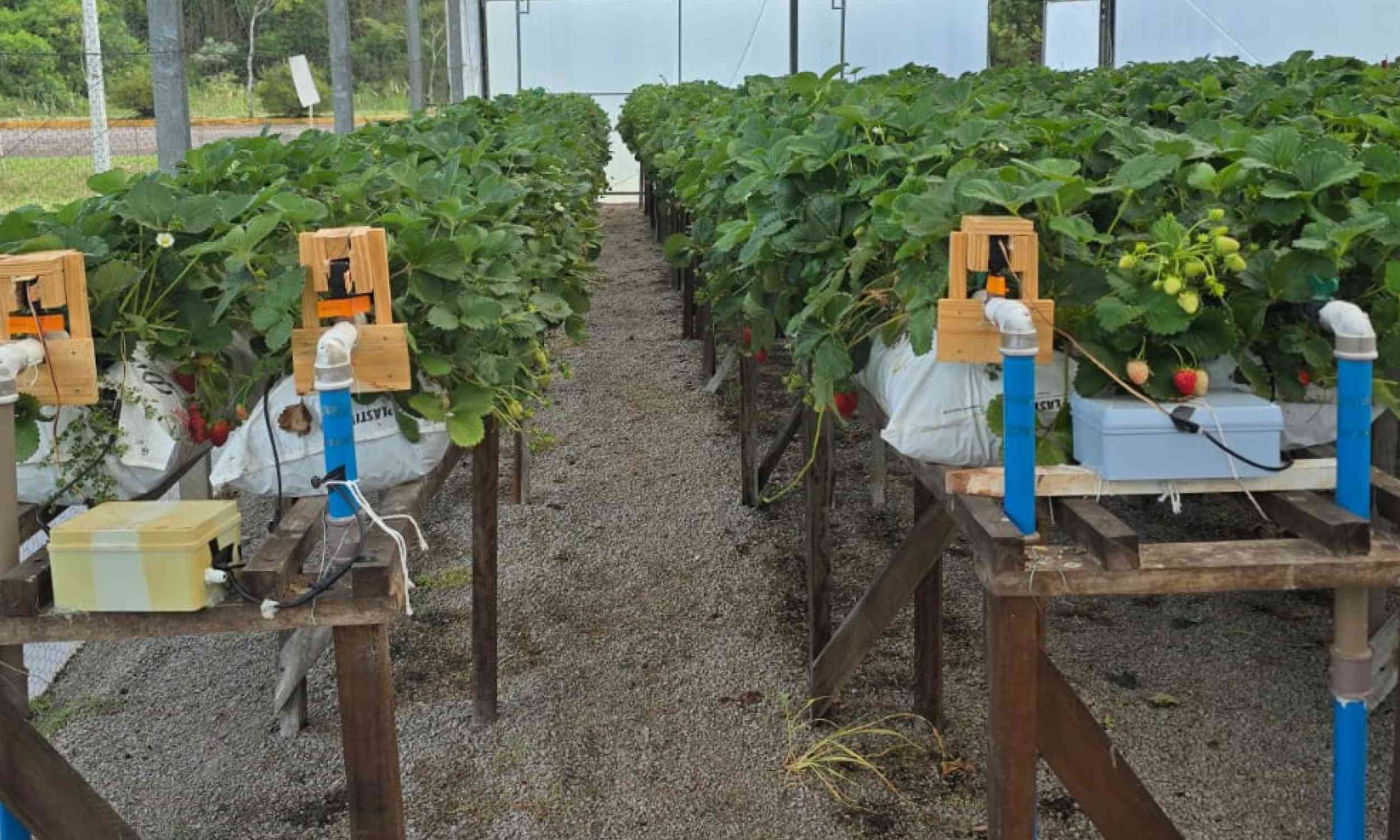 Irrigation system sustains high crop production while conserving water