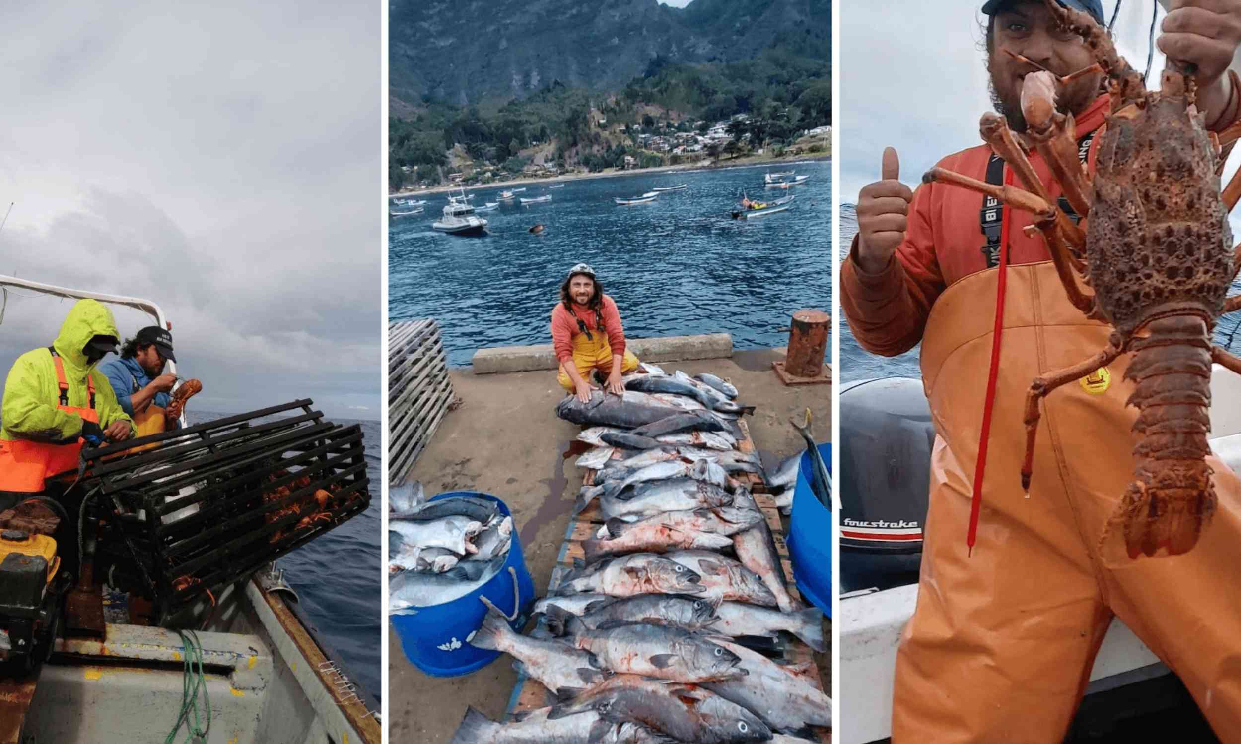 More expensive fish do not always have the most nutrients, according to a new study