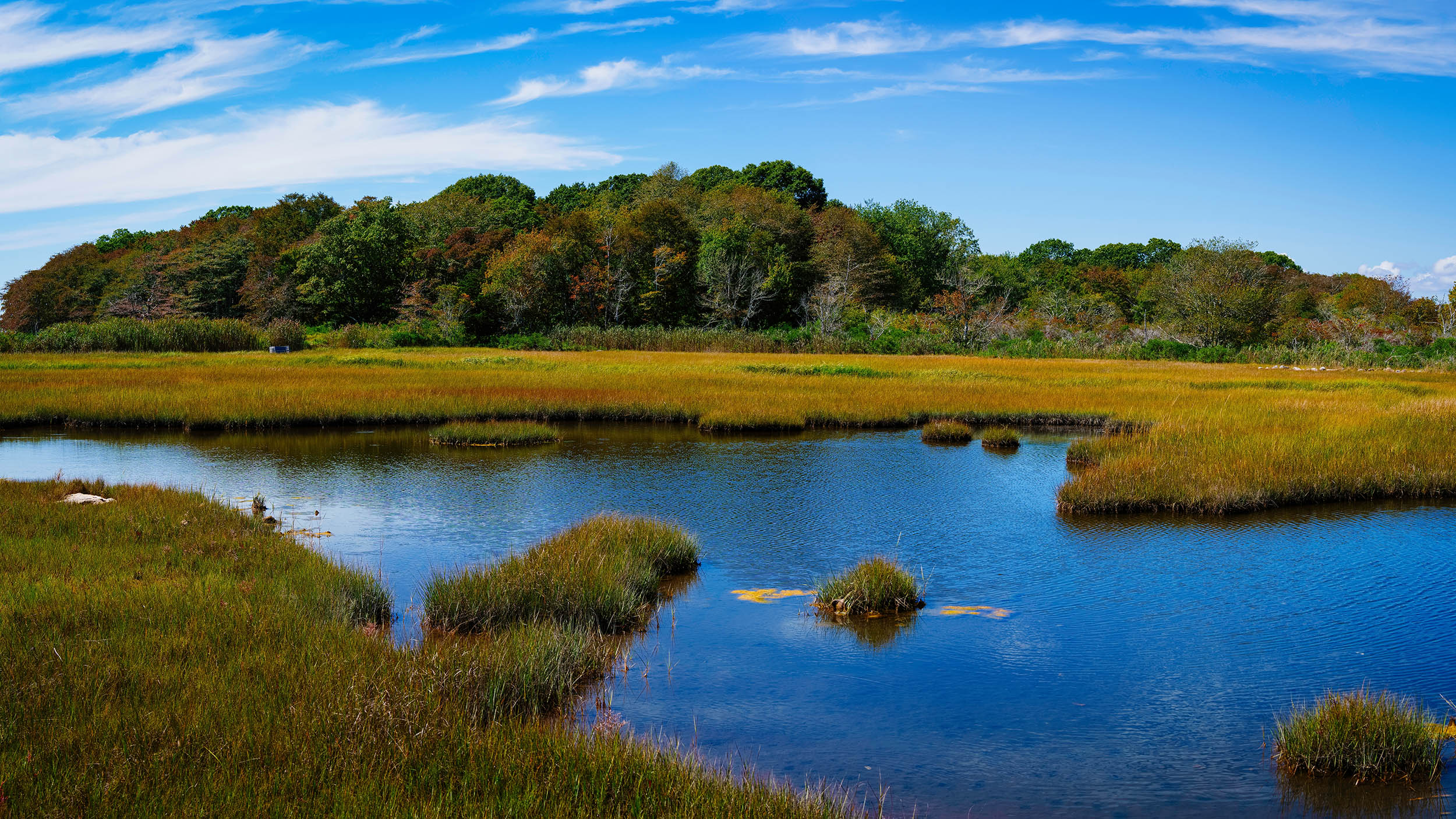 Small wetlands are hiding a big methane problem that climate models are missing