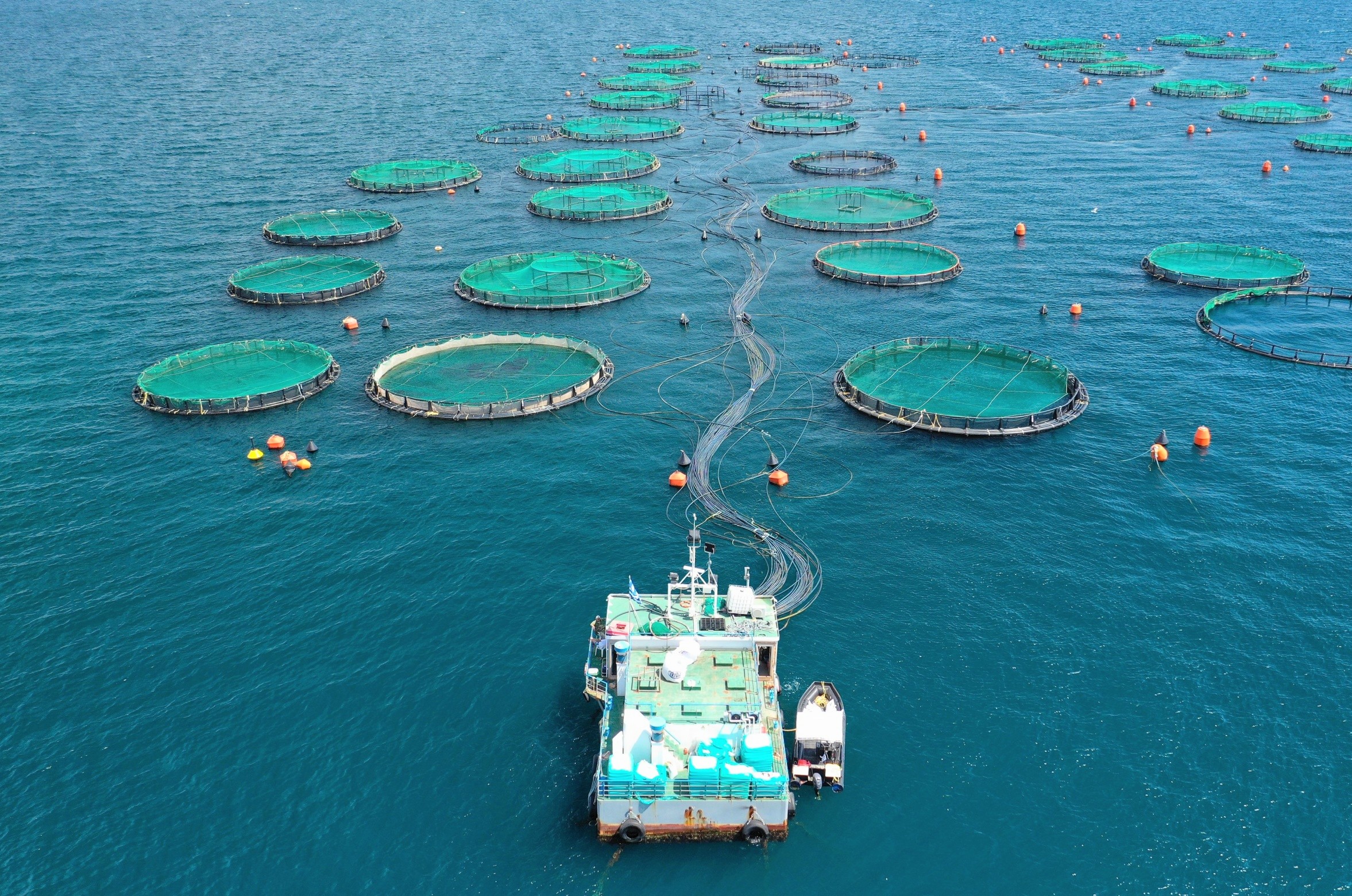 Aquaculture is growing fast - but moving in the wrong direction