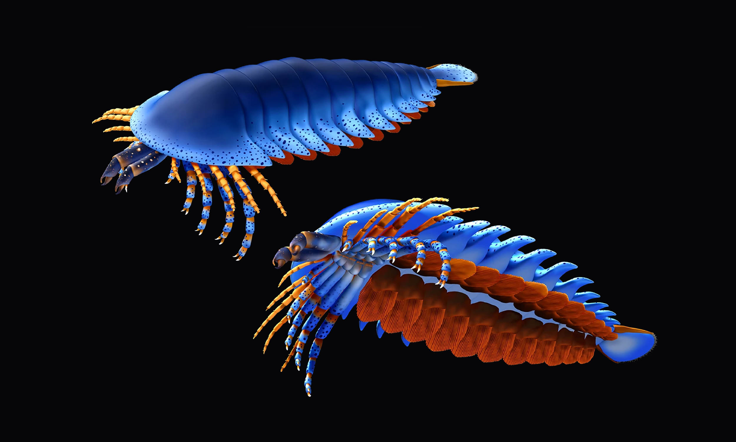 500-million-year-old clawed predator is the oldest spider relative found so far