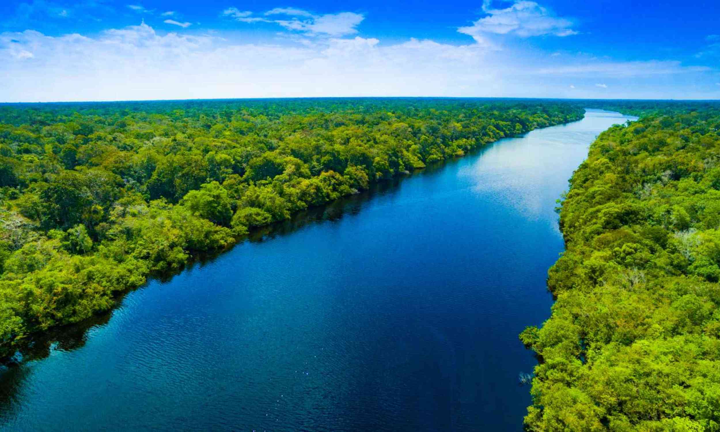 Climate change may push rivers into wild swings, threatening fish habitats