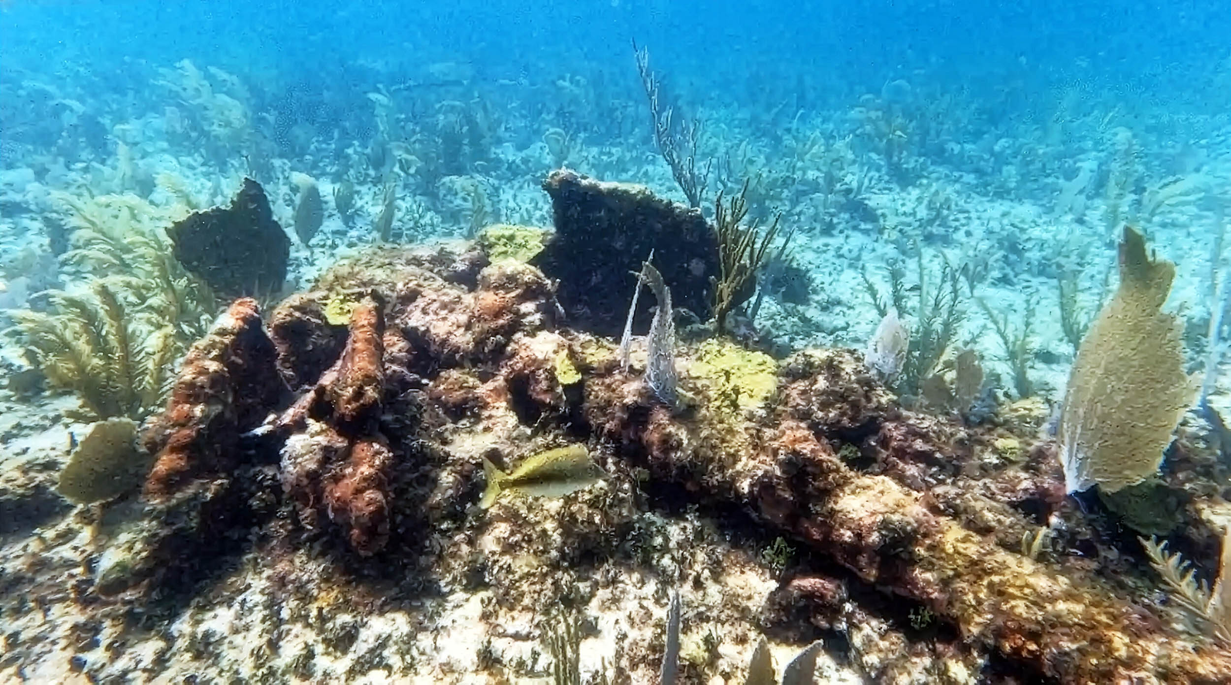 Why an 18th-century Spanish ship wrecked on a remote stretch of Mexico's Caribbean coastline