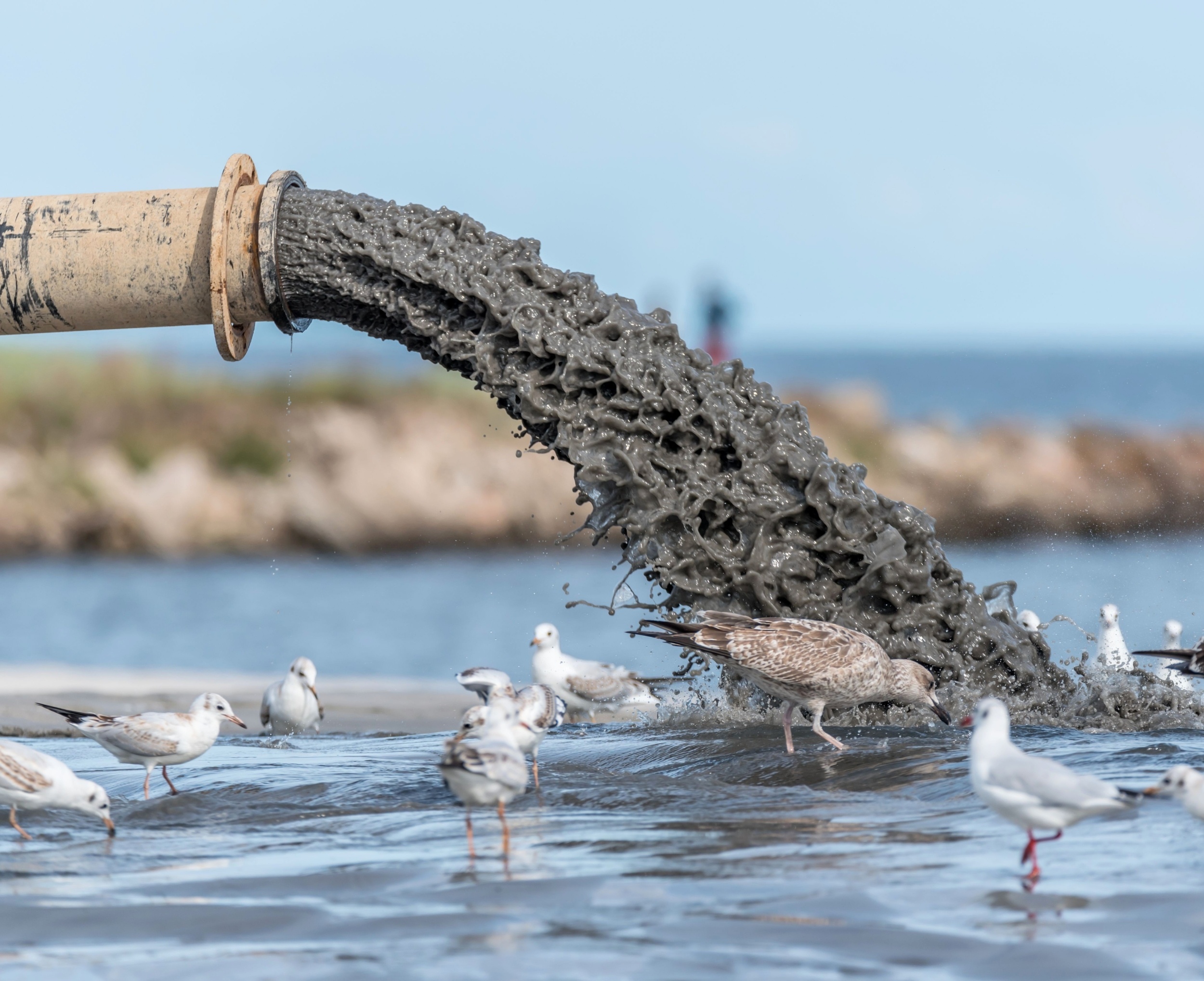Over 70% of protected ocean areas are polluted by sewage