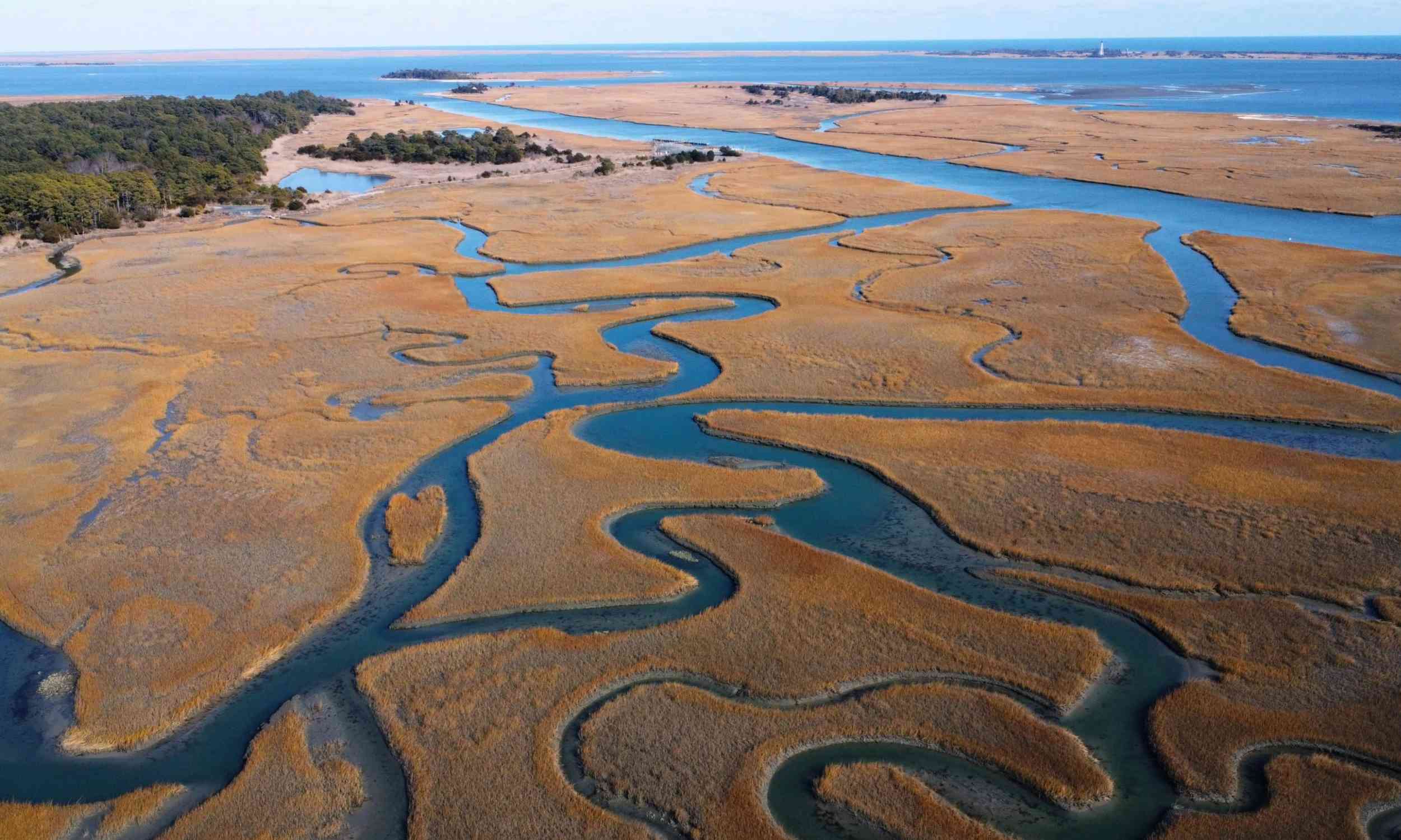 Spain’s iconic Doñana wetland could disappear in 60 years