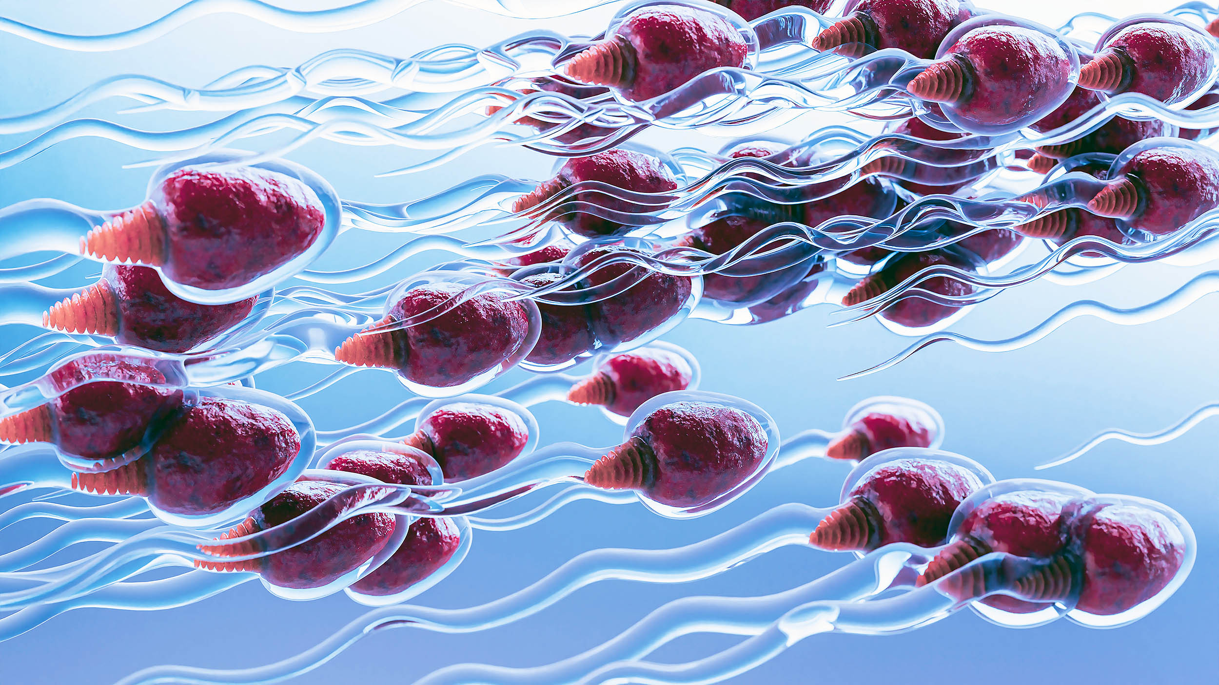 Reversible male contraception just took a huge step towards becoming a reality - Earth.com