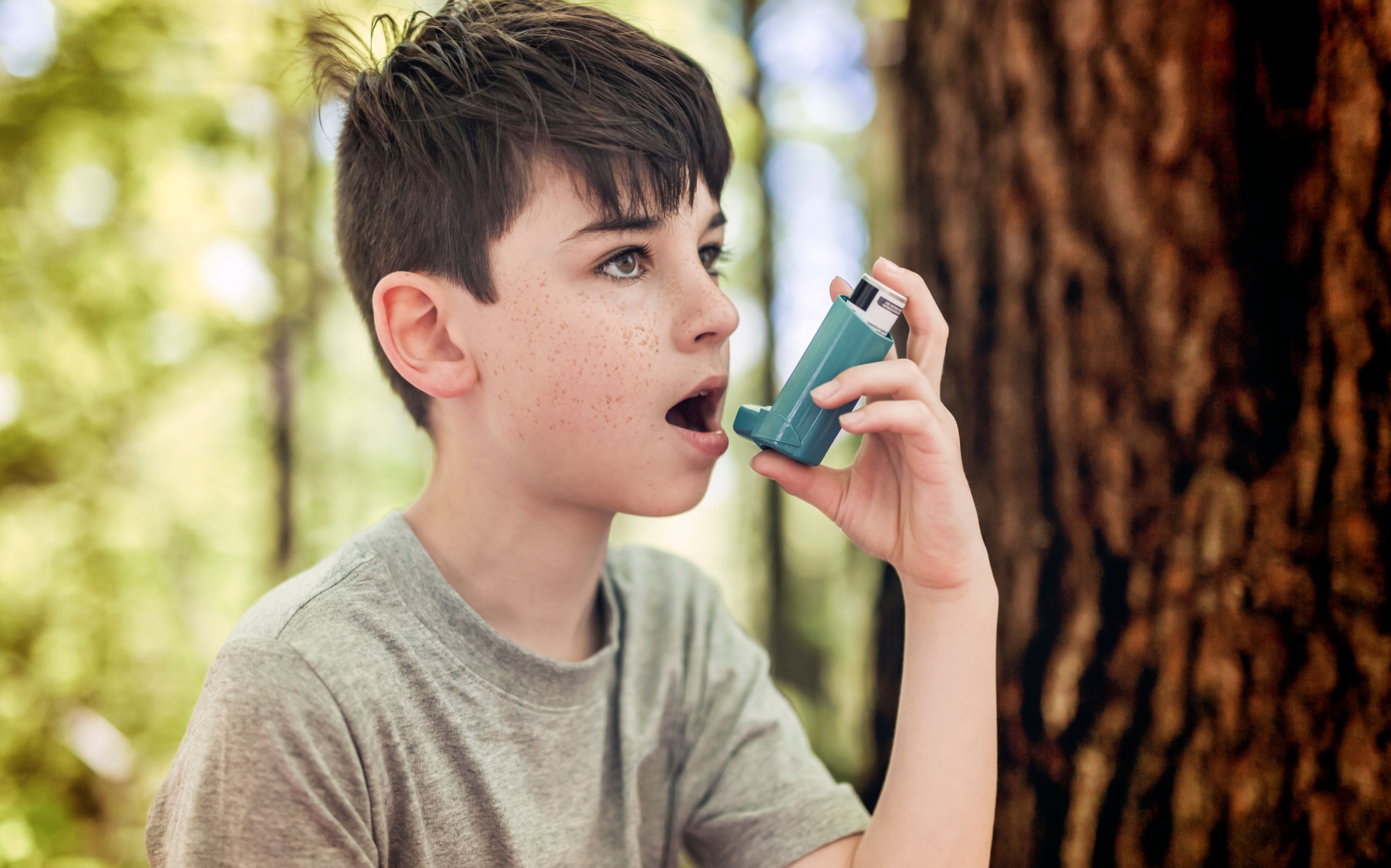 Chemical exposure during pregnancy linked to higher asthma risk in children