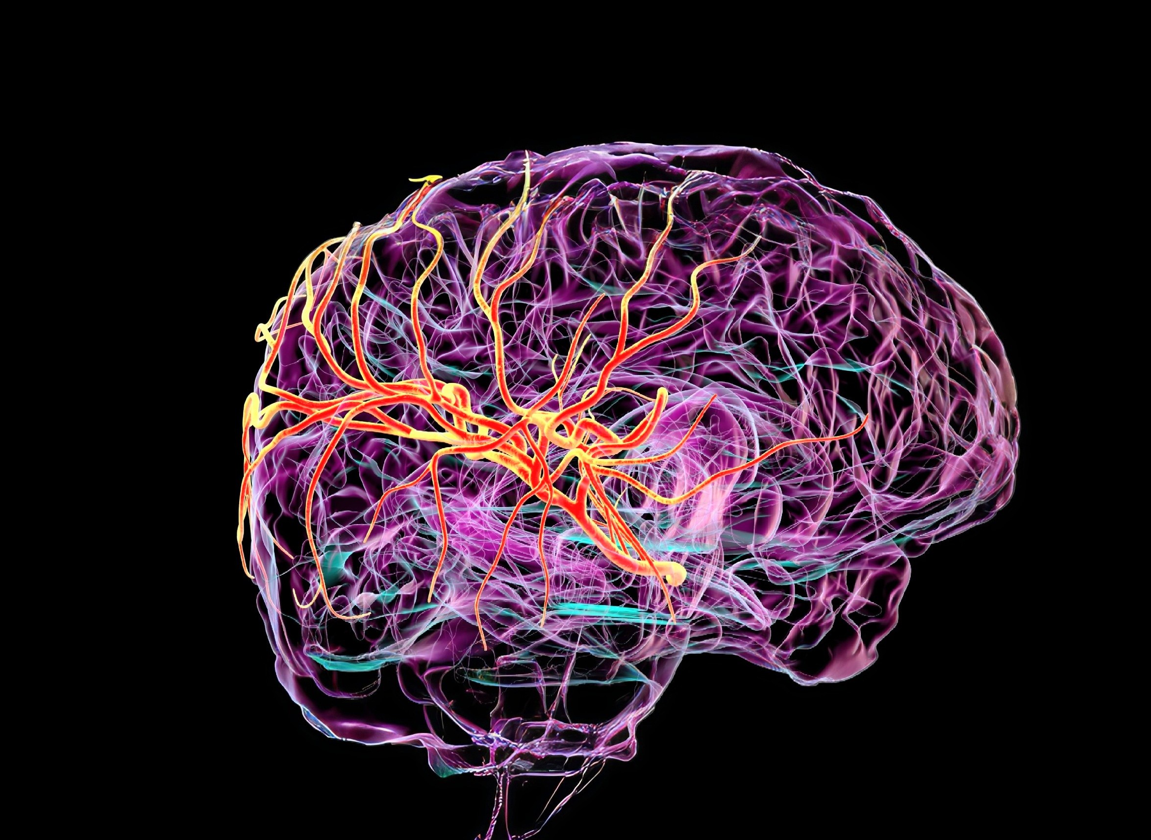 Scientists discover a hidden 'drain' in the human brain