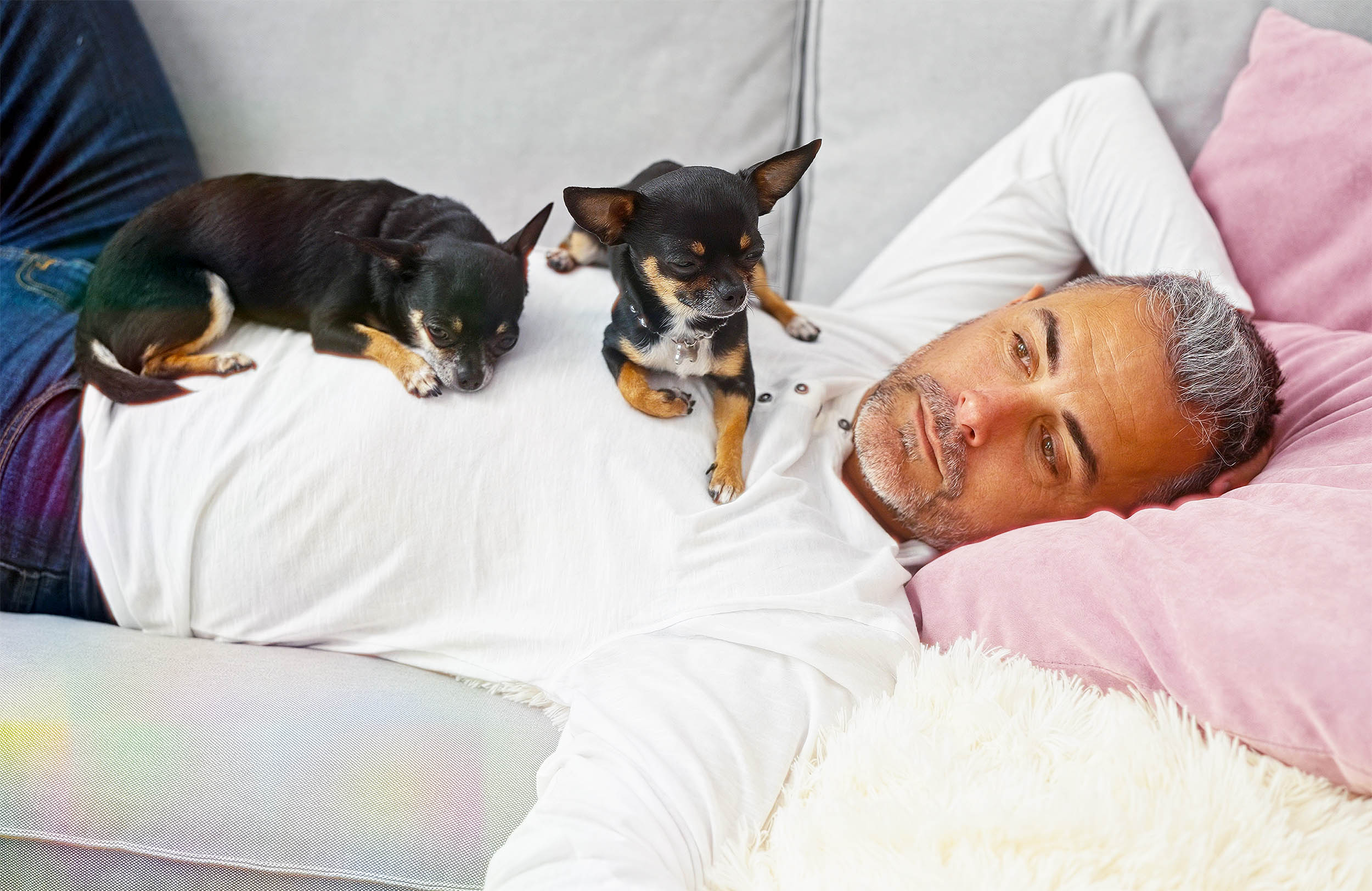 Scientists examined the true impact of pet ownership on health and wellbeing, reporting very unexpected results