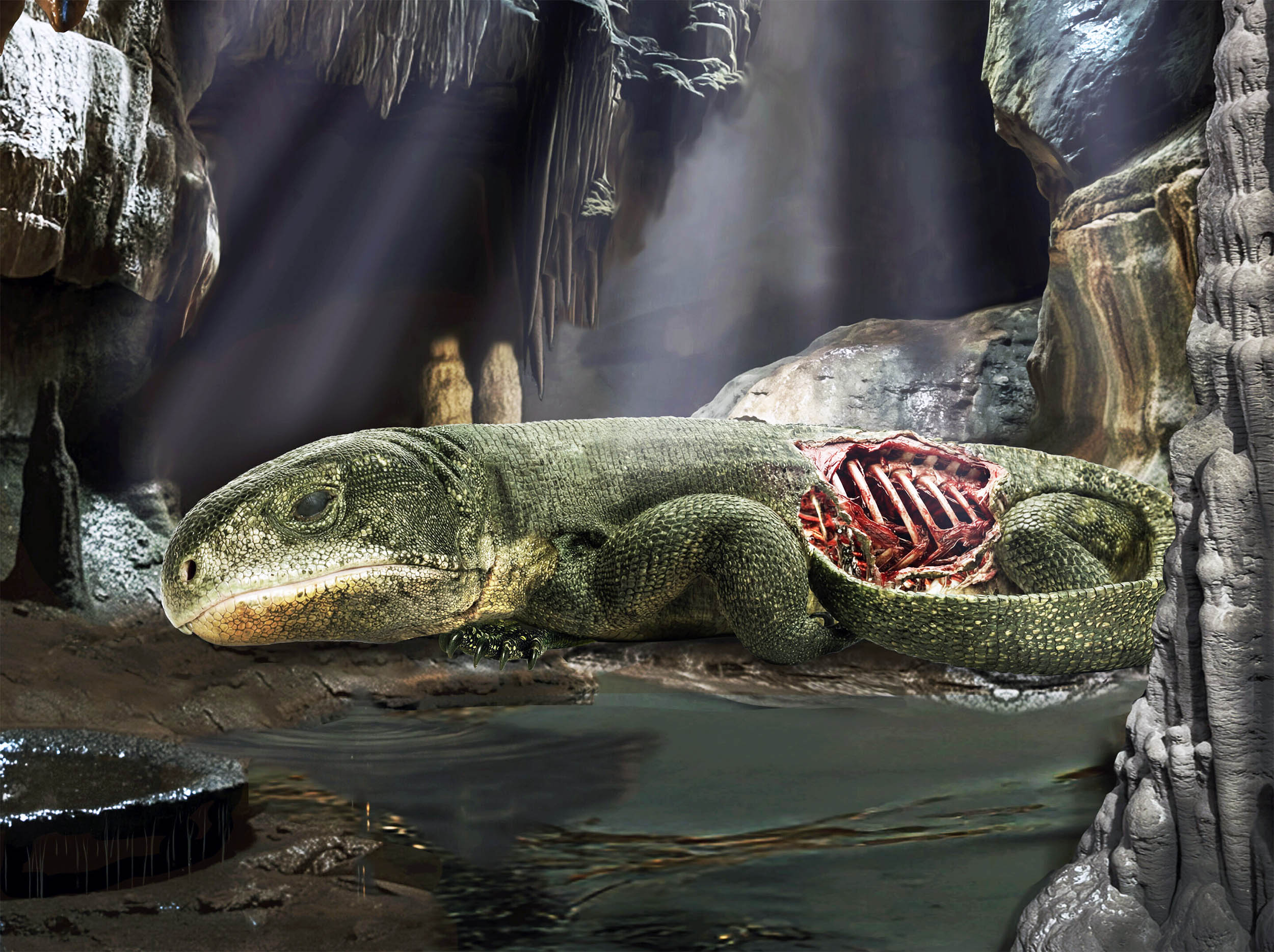 Every breath humans take can be traced back to this mummified reptile that died in a cave 300 million years ago