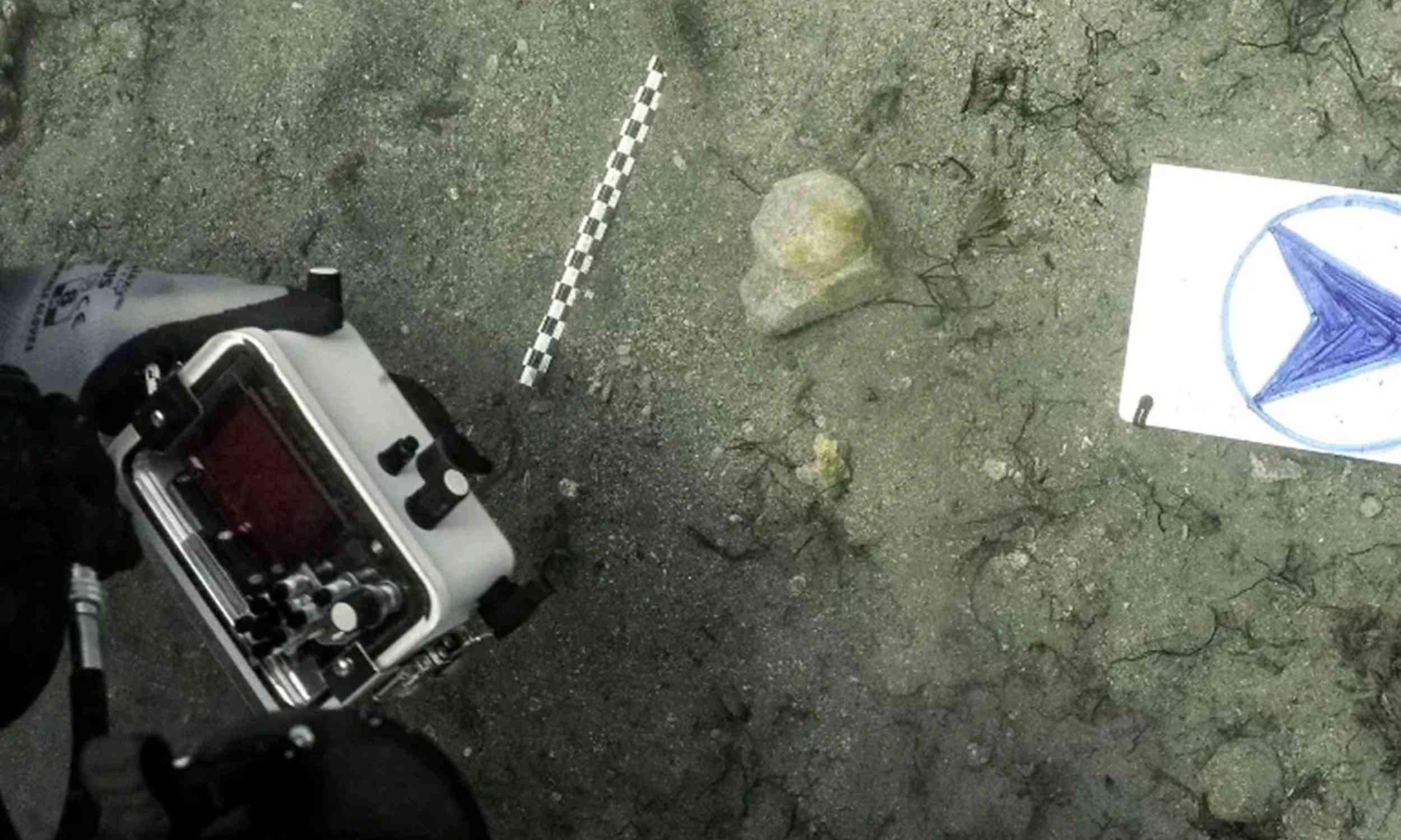 Marble fragment in Greek shipwreck may come from the Parthenon