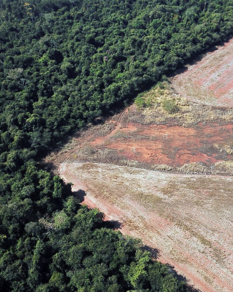 Biodiversity loss must stop by 2030 to protect Earth’s life-support systems