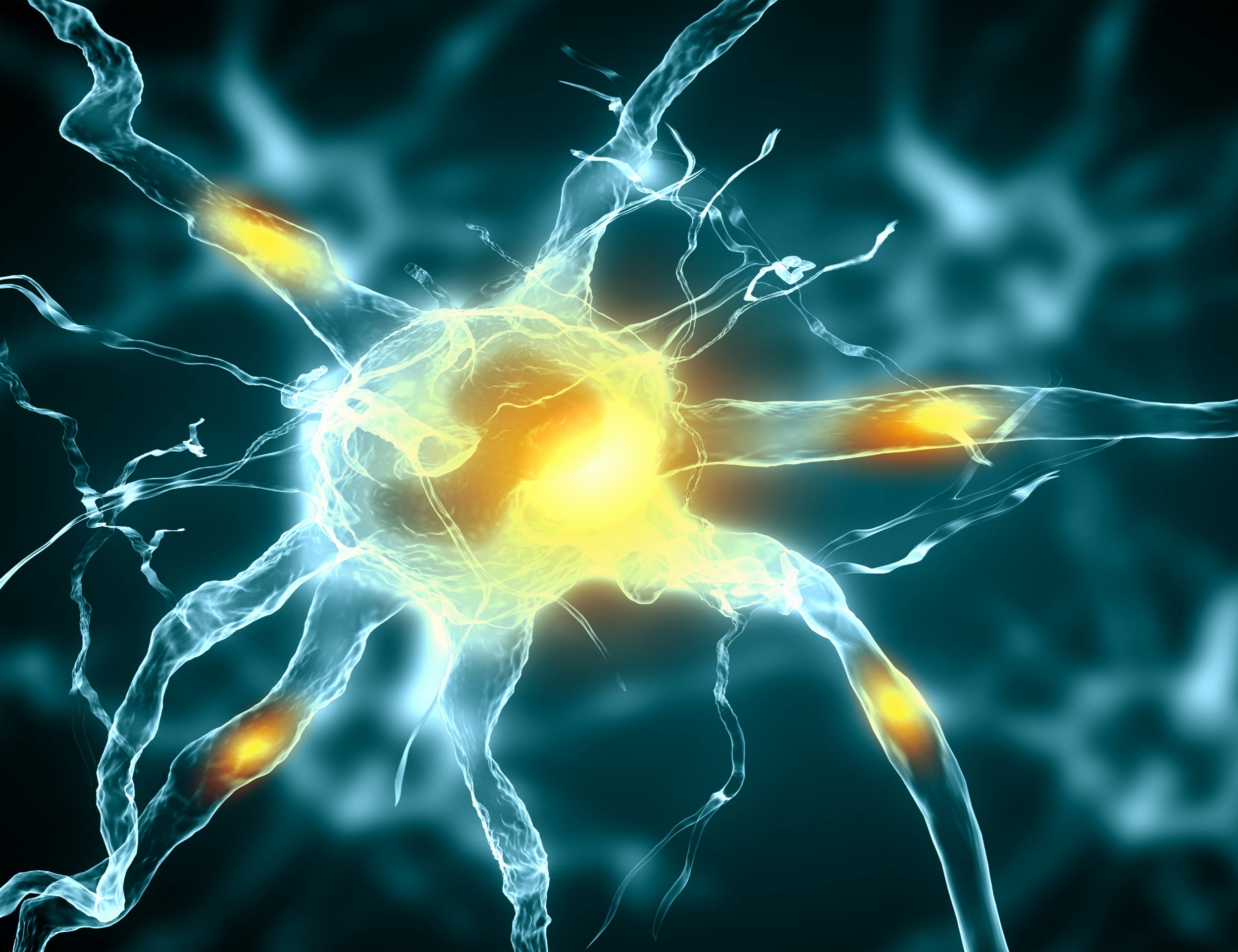 Your brain uses the same cells to see and imagine - Earth.com