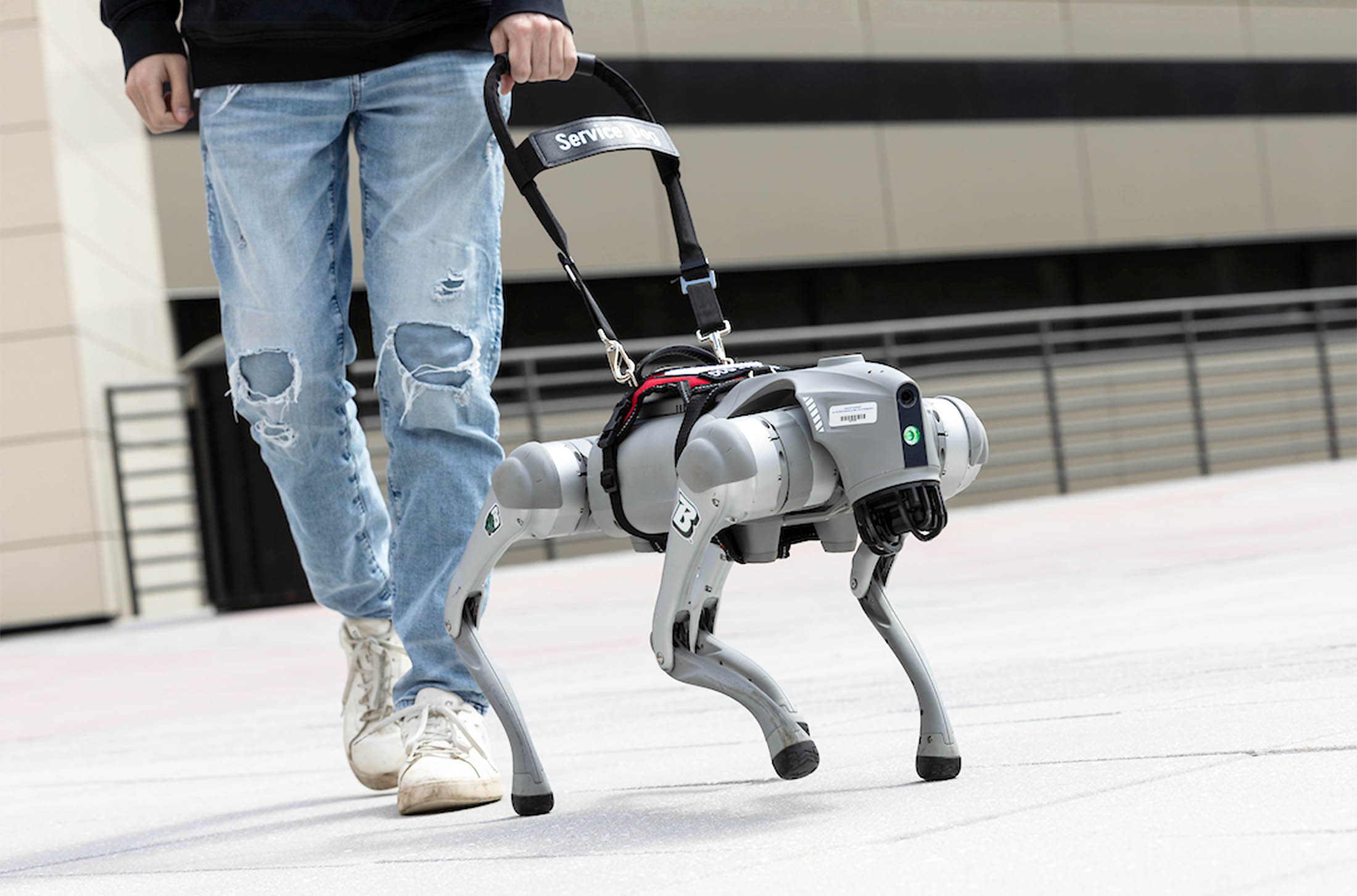 AI-powered robotic guide dog that talks could become alternative to service animals
