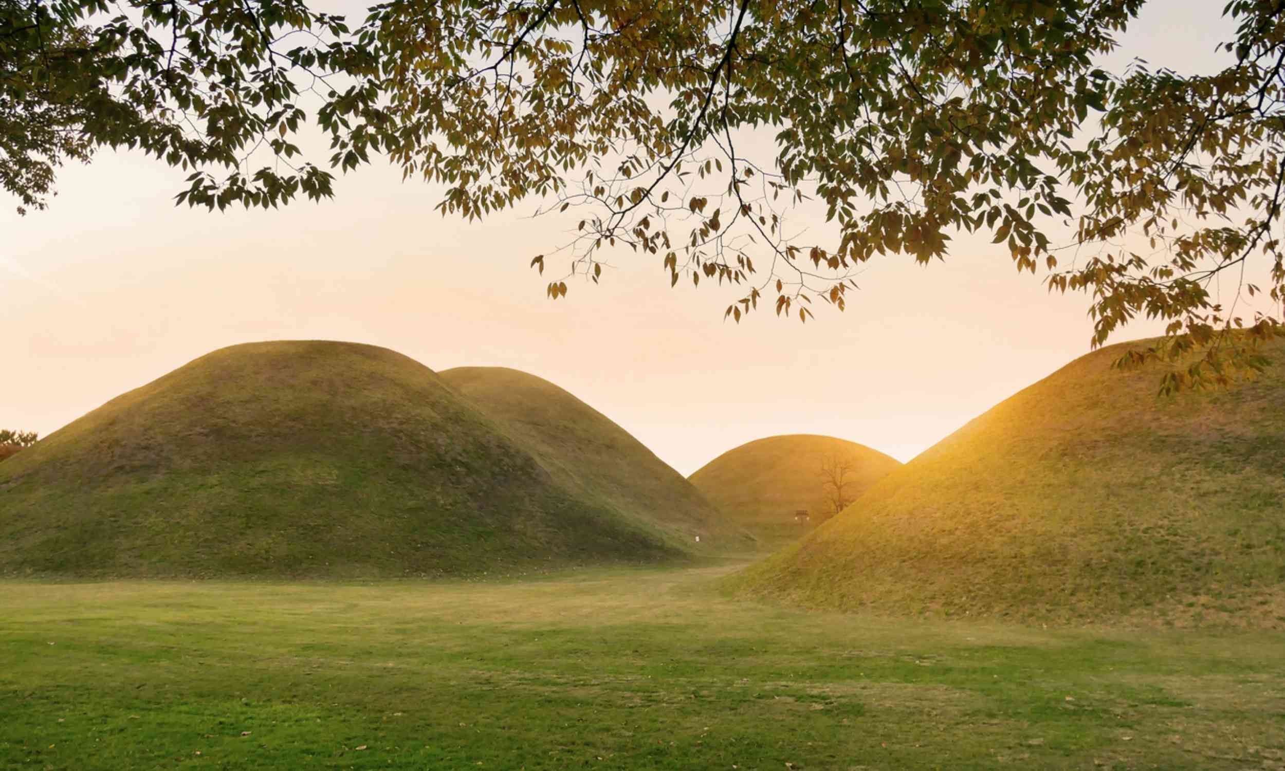 Kinship network discovered in Korea reveals a disturbing burial custom