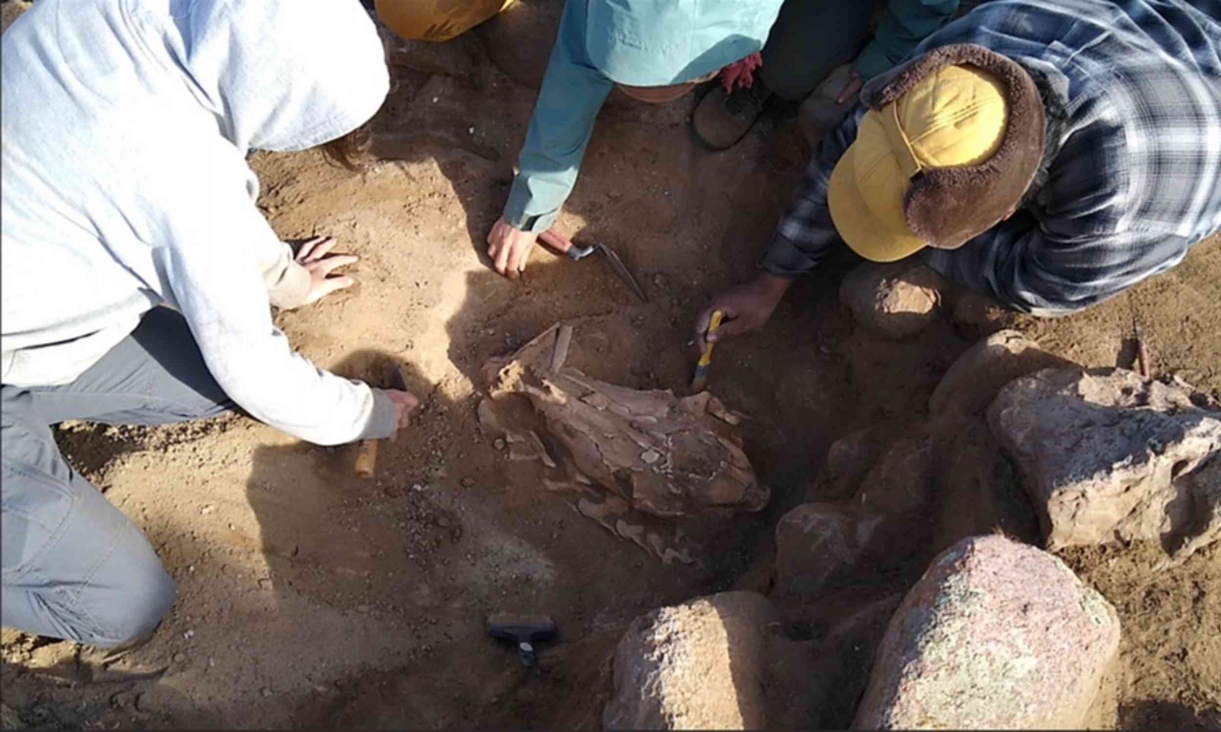 Discovery debunks long-held beliefs about Mongolian burial rituals