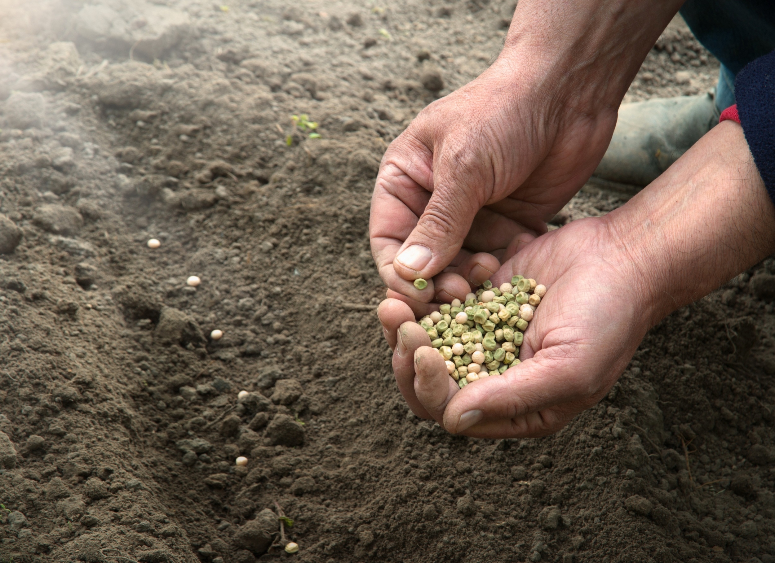 Climate Science & Research 2