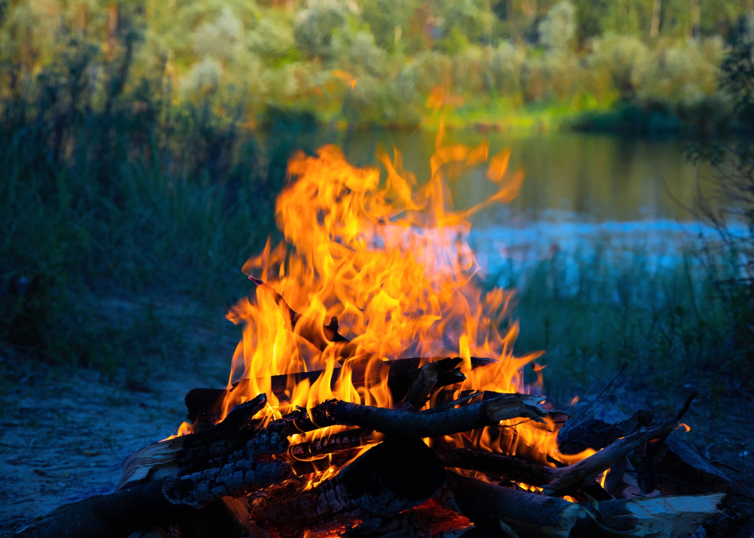 Early humans chose where to live based on access to firewood