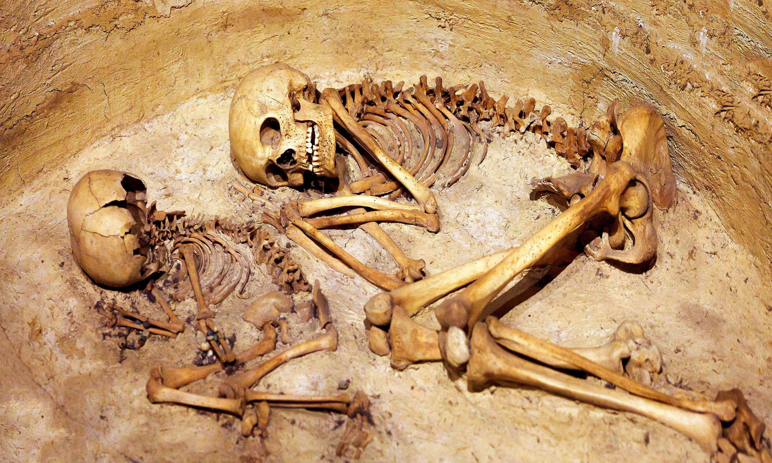 Analysis of ancient burials show that genetics did not define family 8,000 years ago