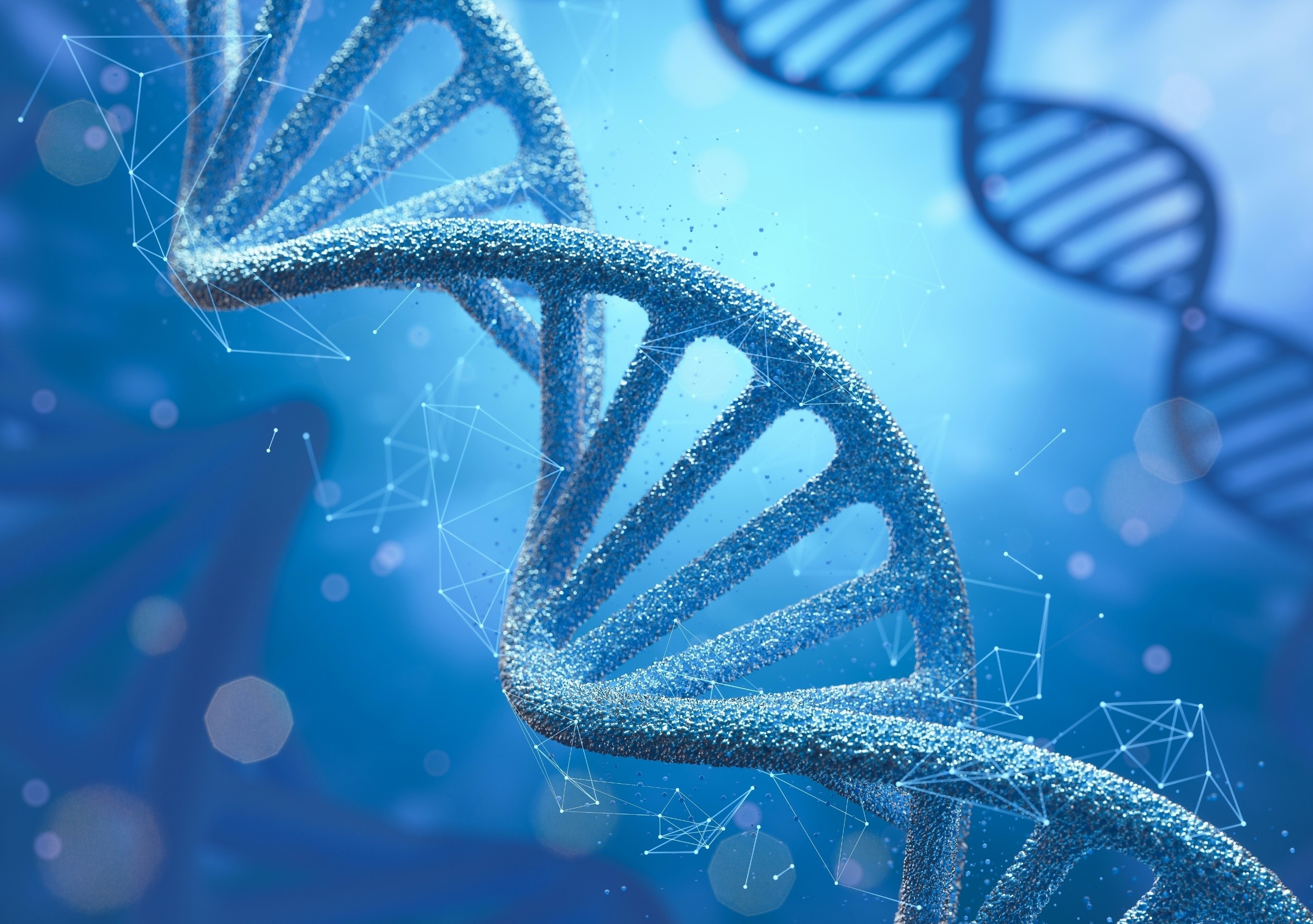 Humans evolved faster than expected after farming reshaped life