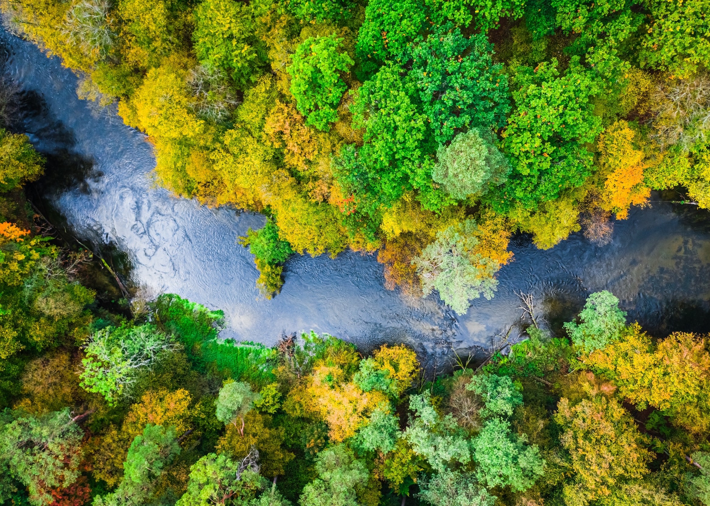 Rising temperatures are weakening river food webs