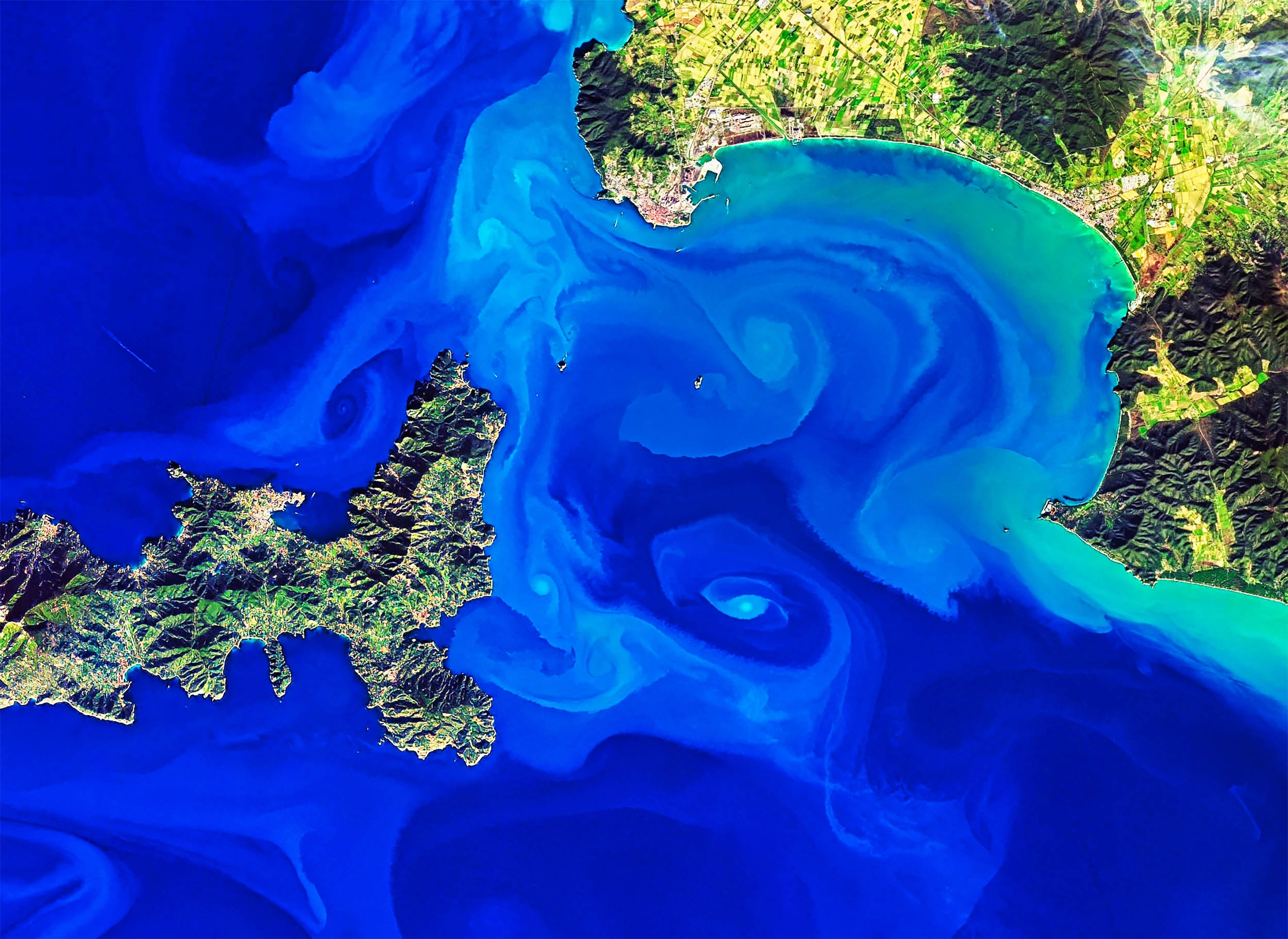 Ocean eddies are amplifying currents and climate extremes in coastal seas around the world