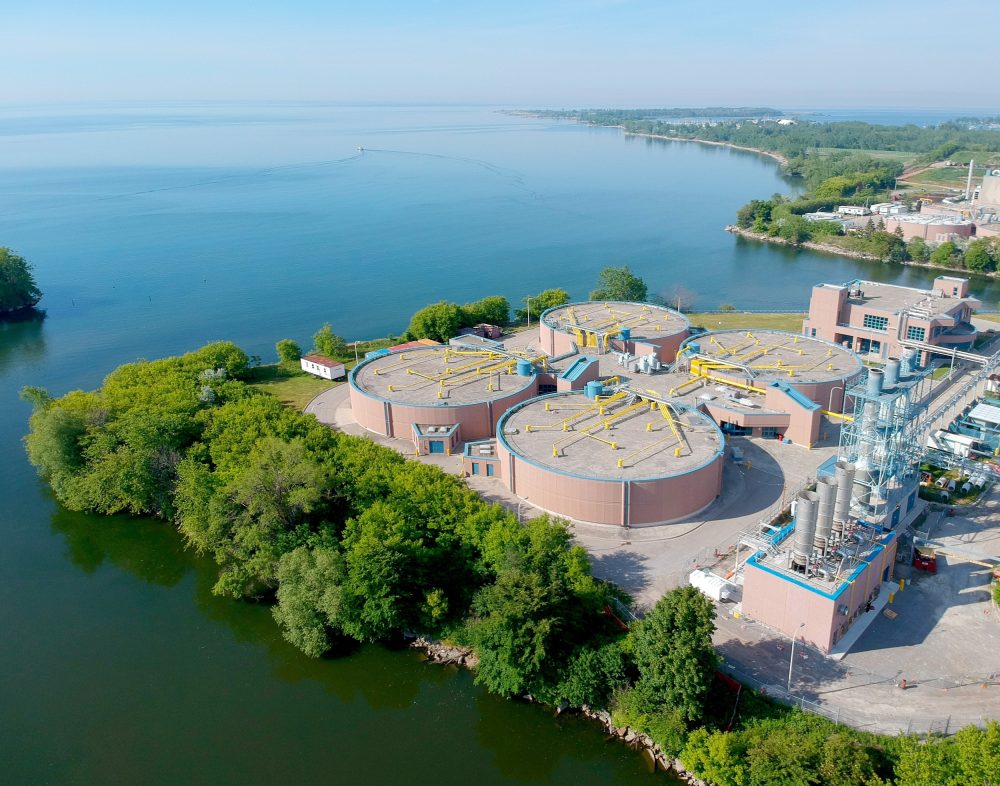 Drugs from wastewater are building up inside freshwater fish