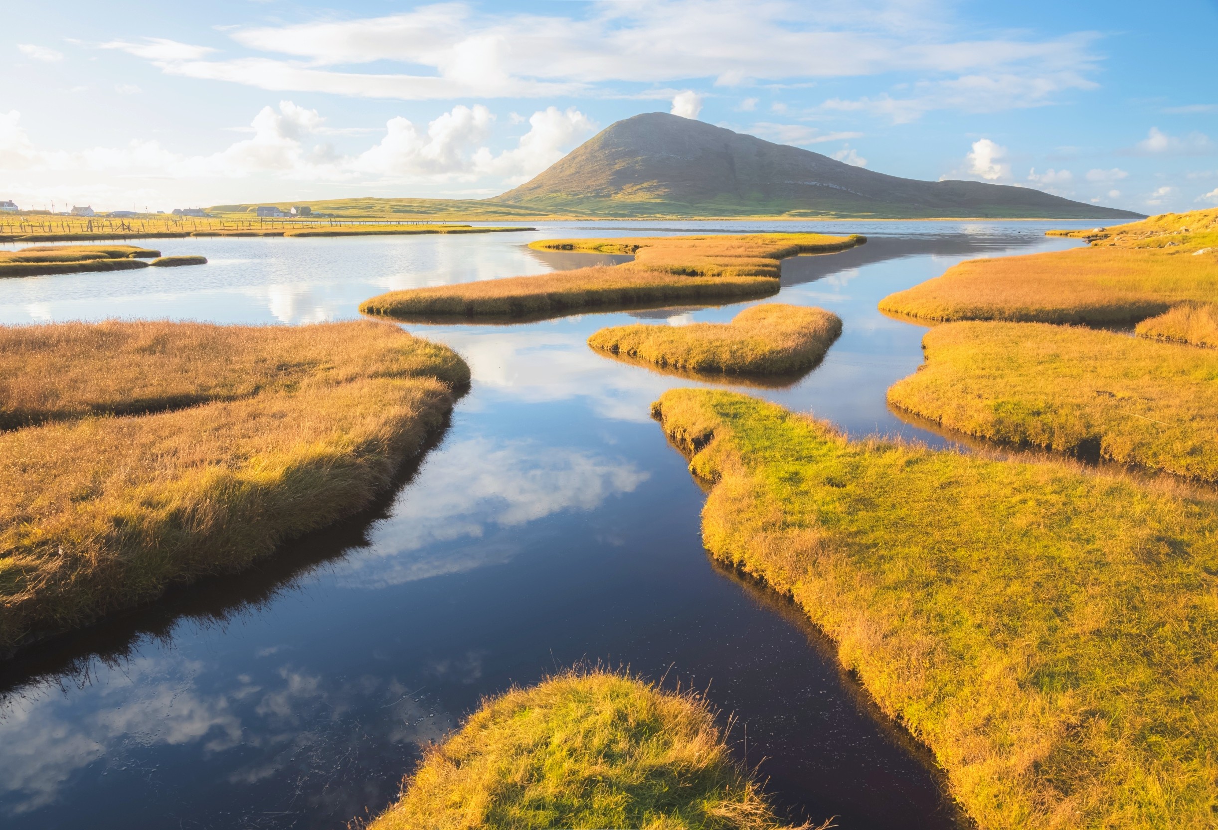 Earth Day 2026: The most powerful climate solutions are already in nature