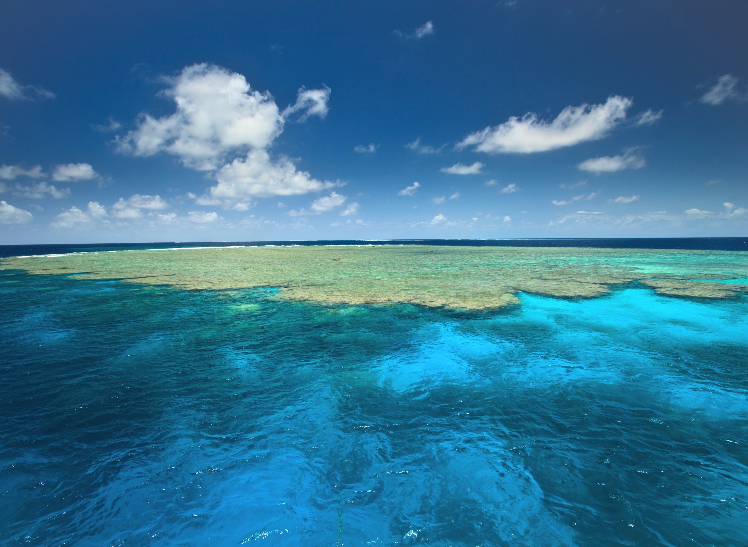 How Earth Day has evolved – and what it means now