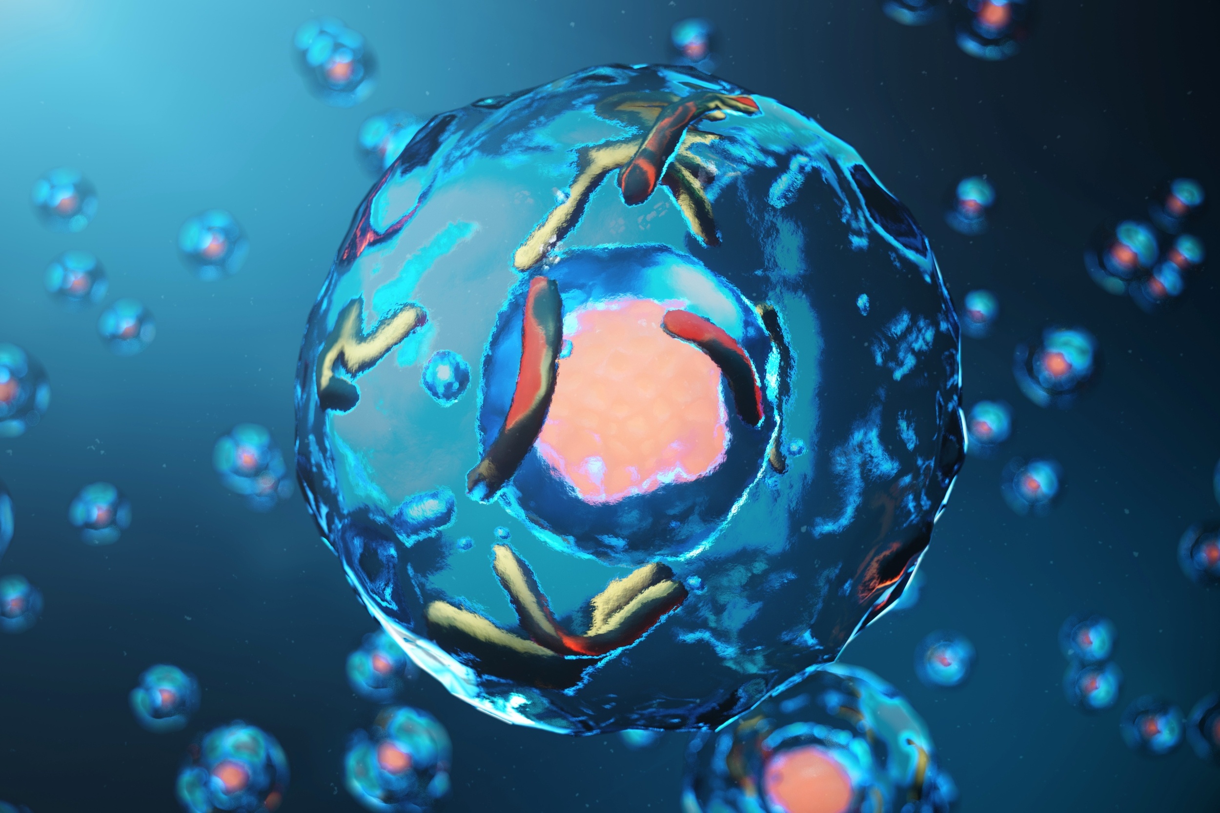 Scientists discover a hidden system that controls sugar in the human body