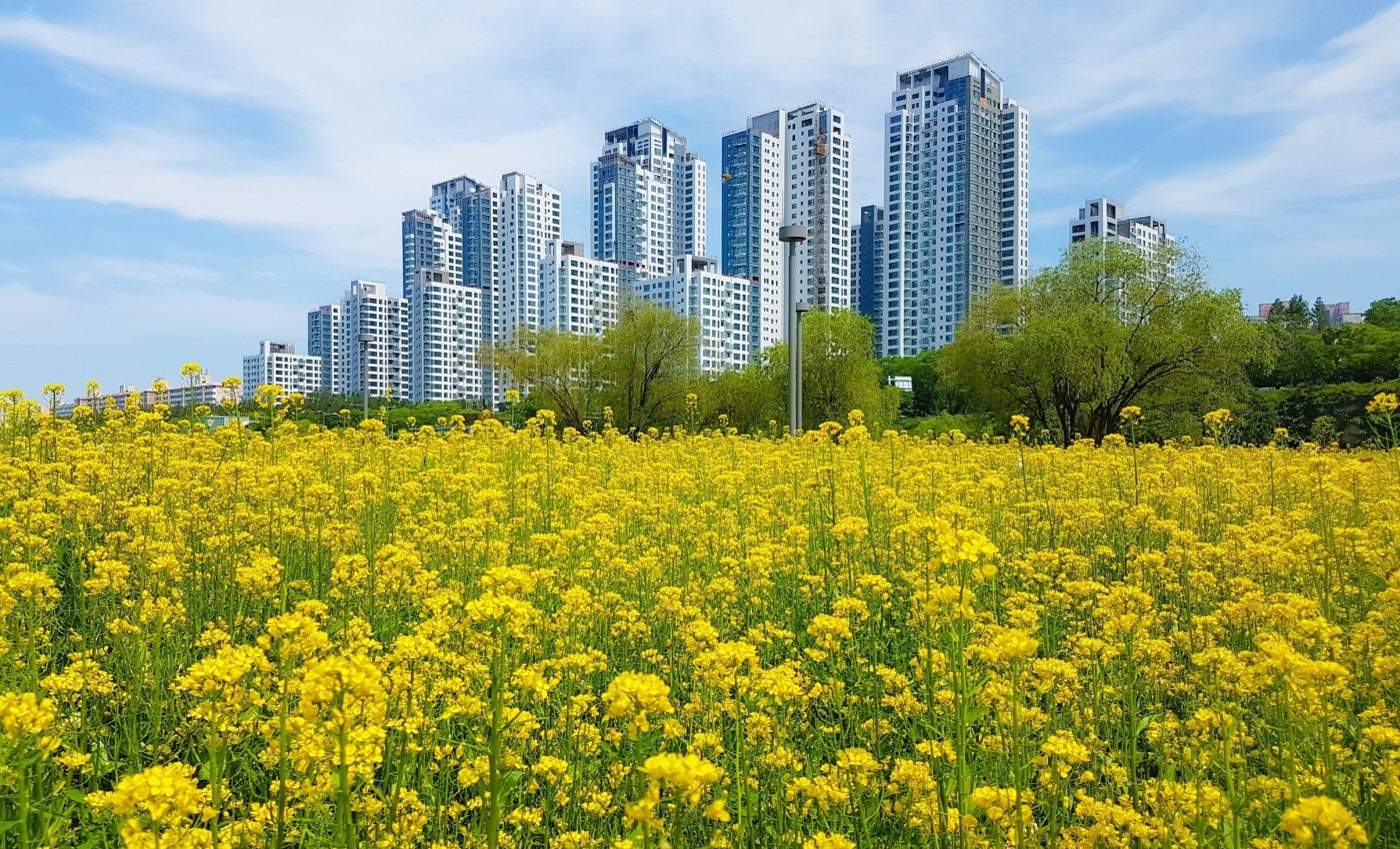 Cities and countryside are merging into one continuous landscape