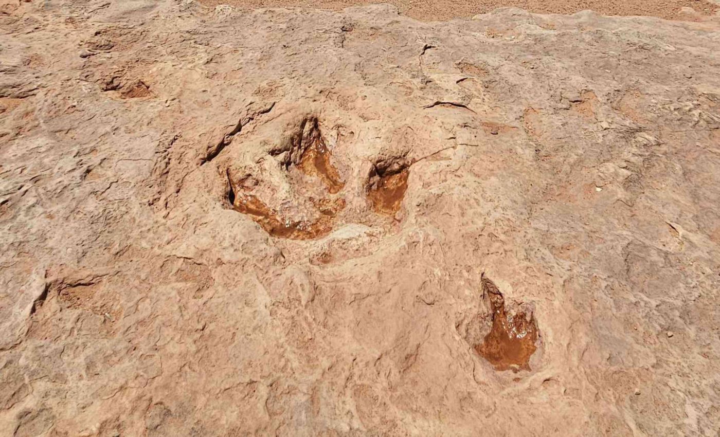 魚里／FOOTPRINTS Ocean tides uncover rare dinosaur footprints hidden in coastal