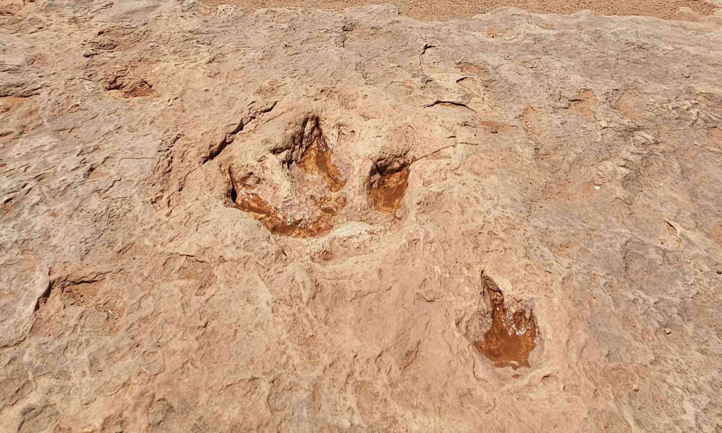 Dinosaur footprints uncovered by tides may rewrite South Africa’s fossil record