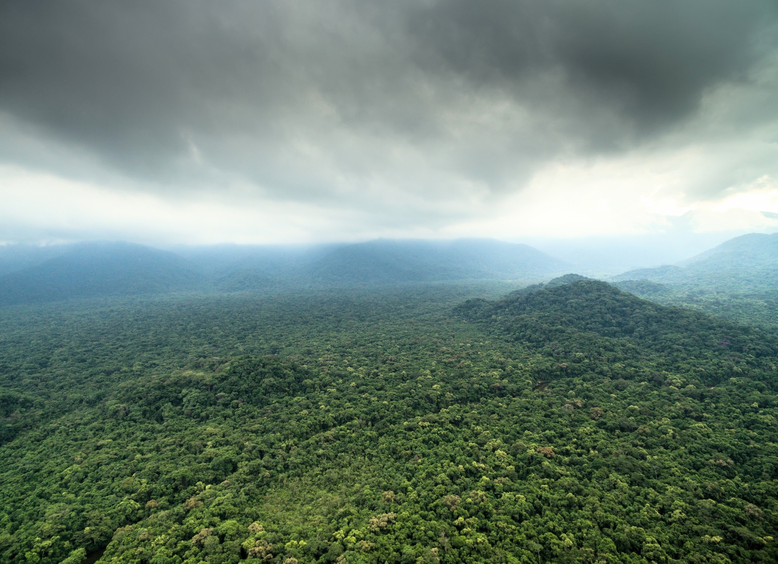 Deforestation has slowed, but the Amazon is still quietly breaking down