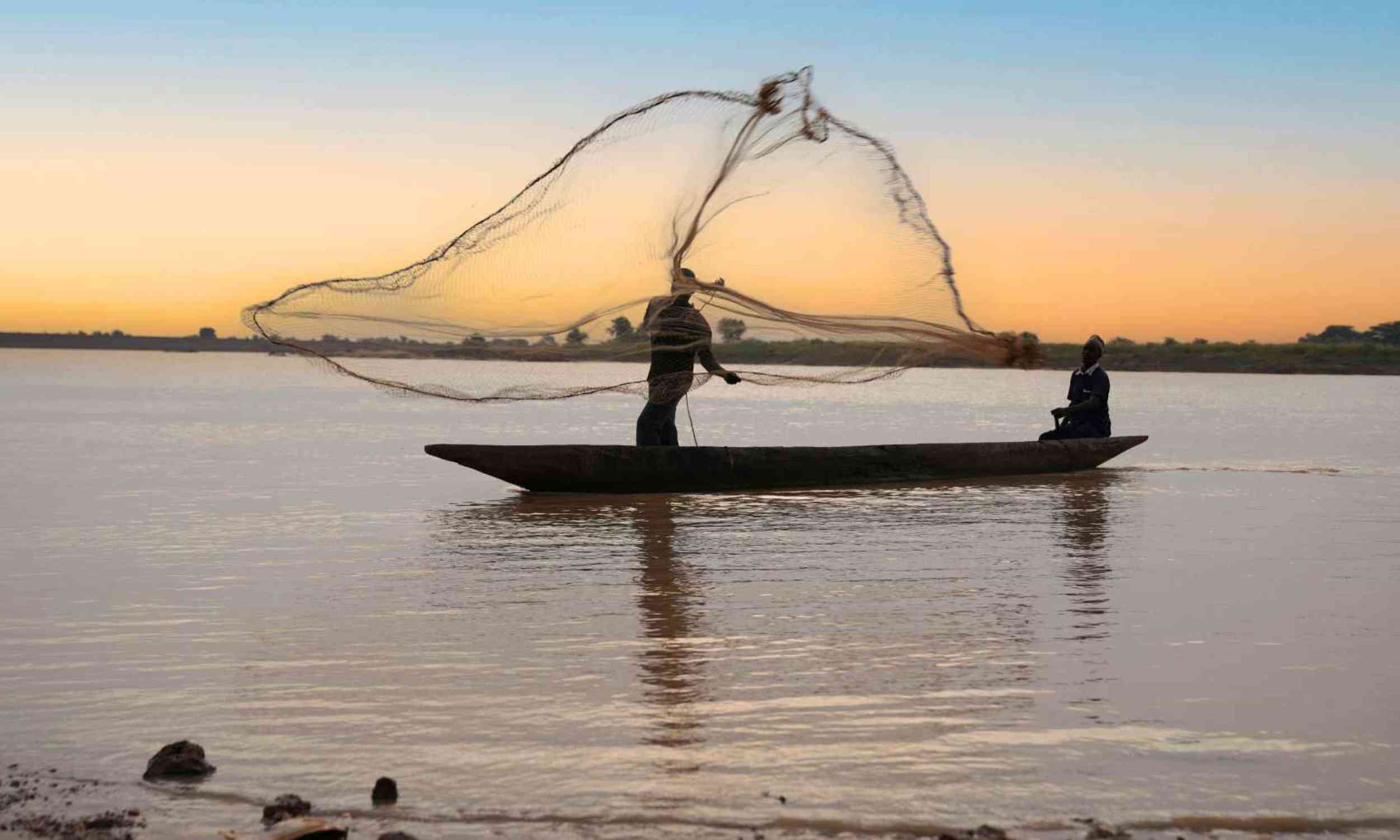 Ocean fronts were supposed to be fishing hotspots, but they act more like invisible walls