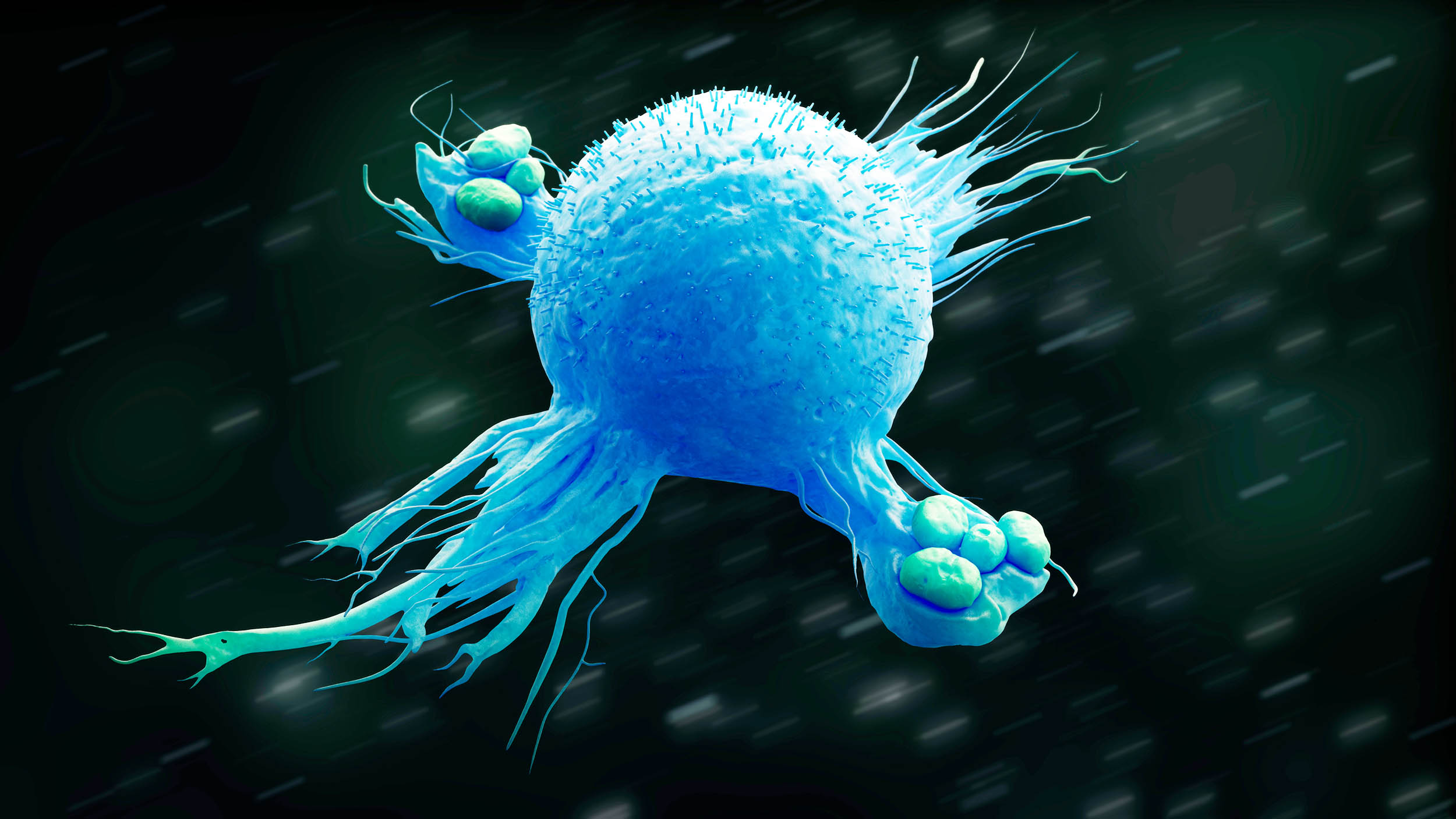 Damaged livers began to heal after scientists removed aging 'zombie cells'