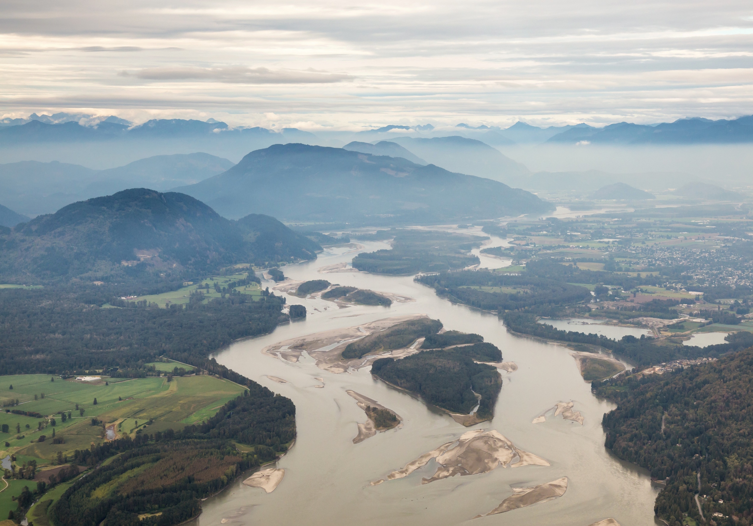Extreme weather is turning young salmon into 'river ghosts'
