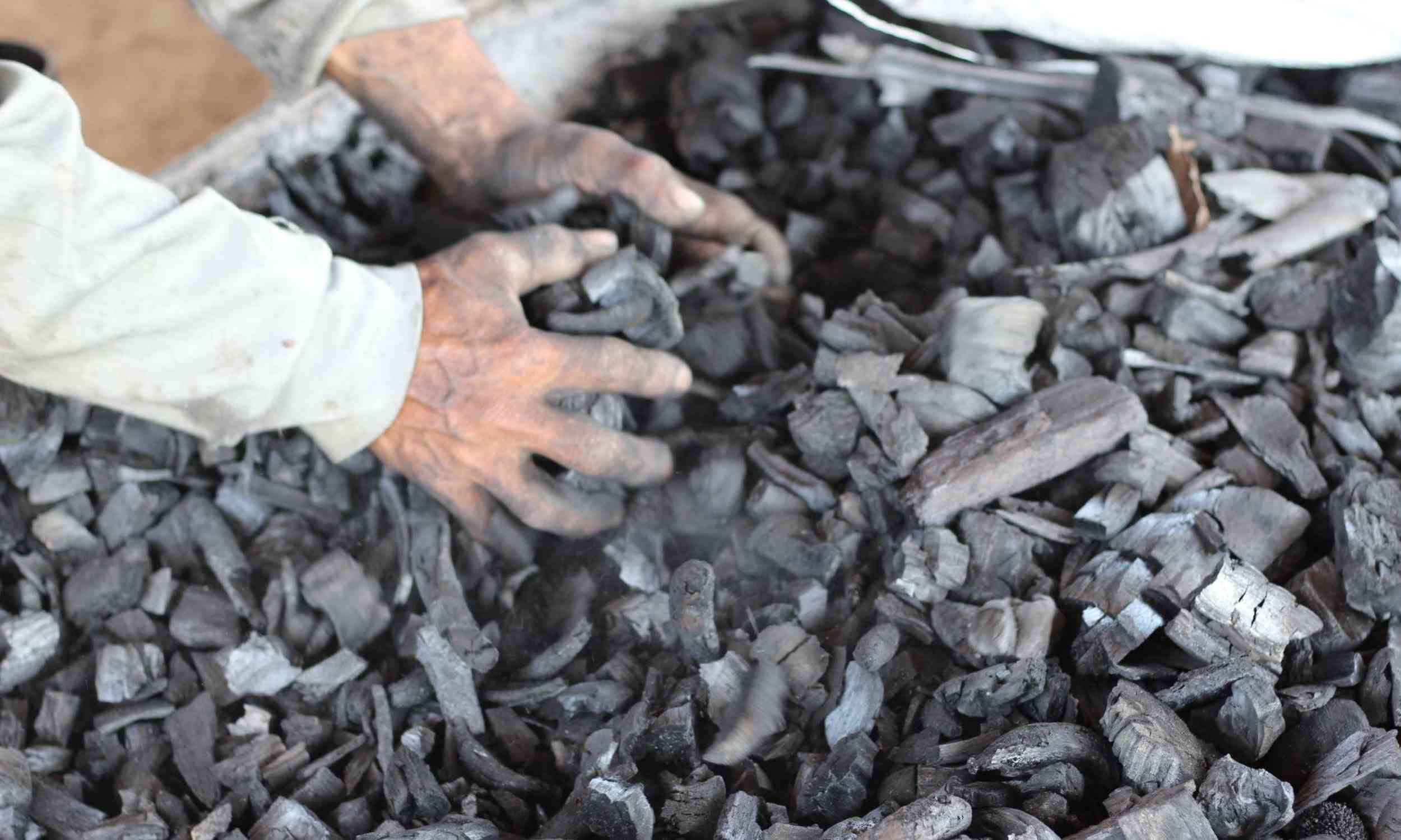 AI may help farmers turn burnt plant waste into a smarter soil tool