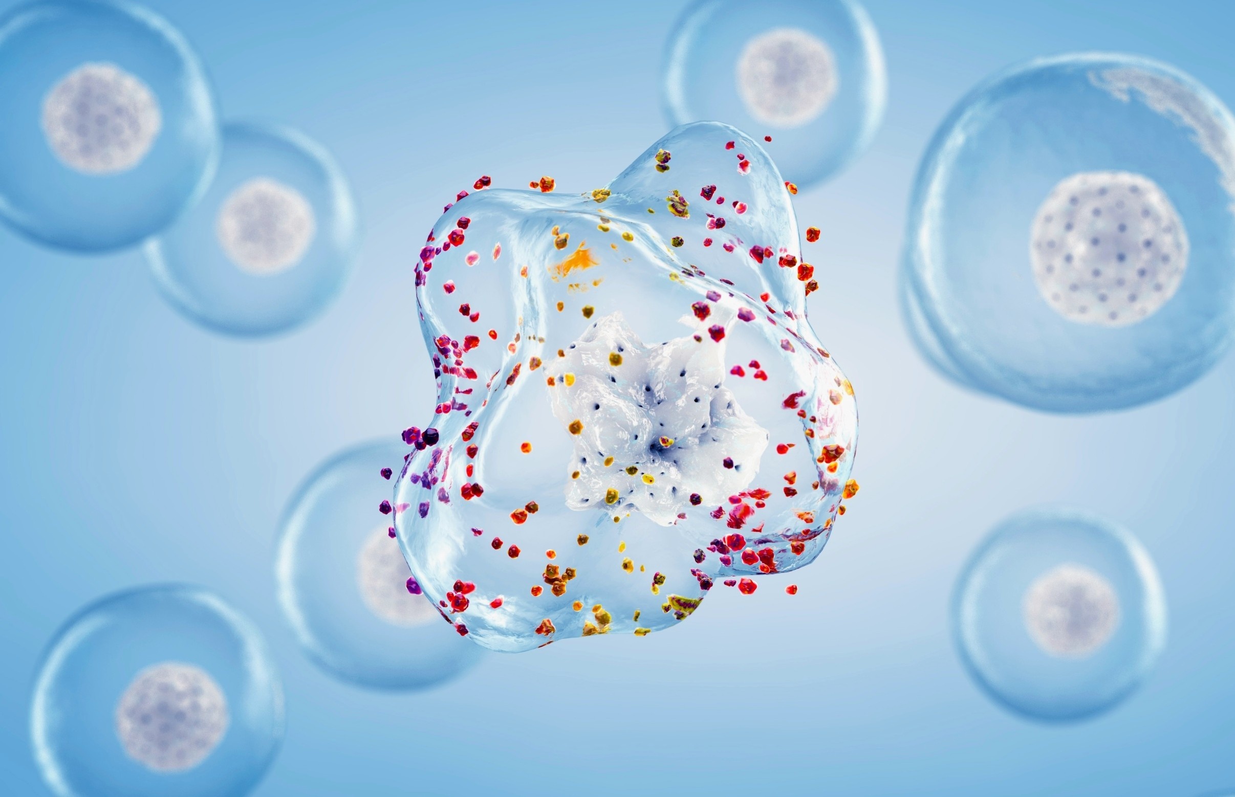 Turning down a key stress signal could help extend lifespan
