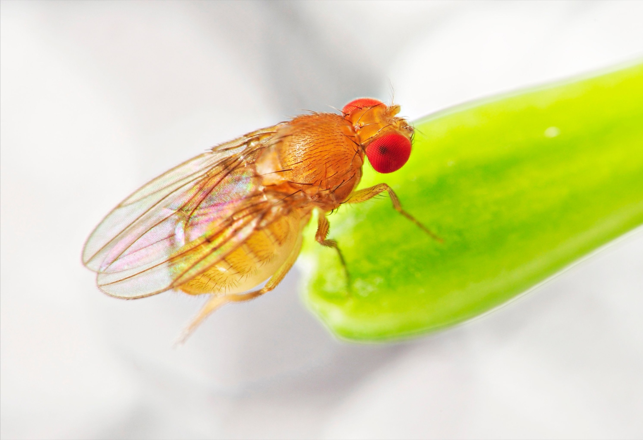 Extreme gravity leaves lasting marks on movement and energy use
