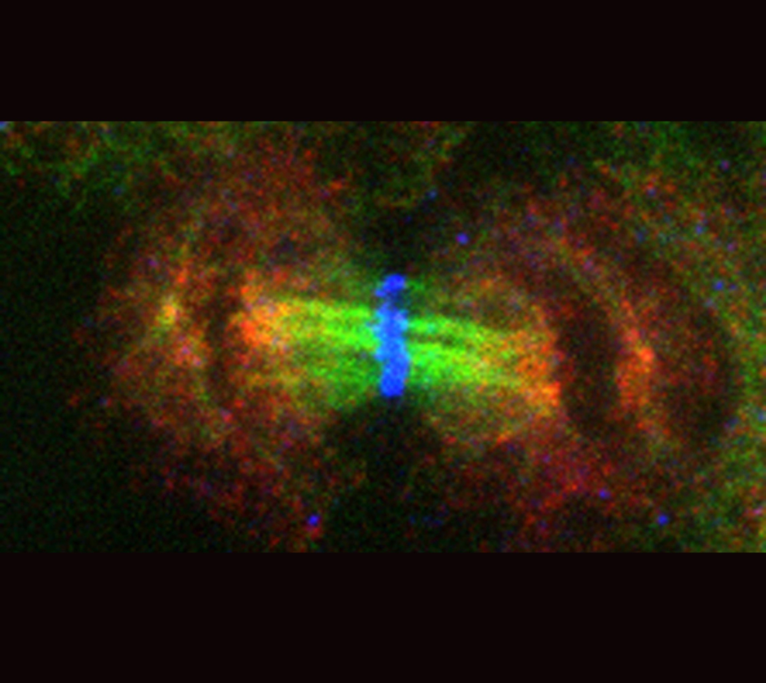 When cell division goes wrong, some cells still manage to survive