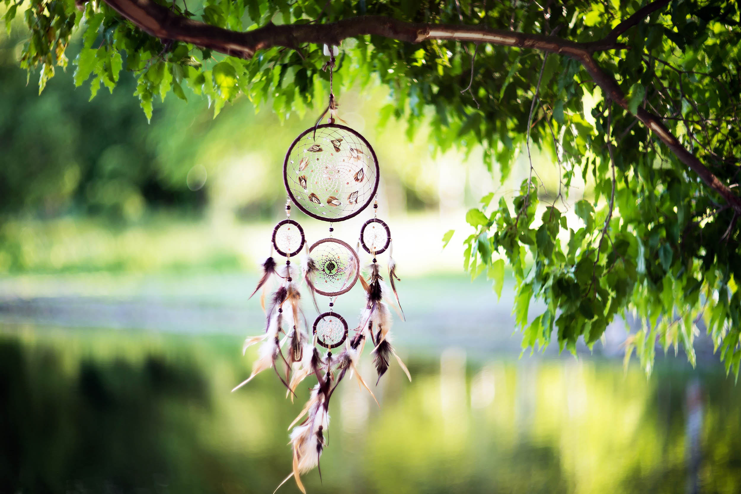 What you dream about is determined by patterns that scientists can measure and predict