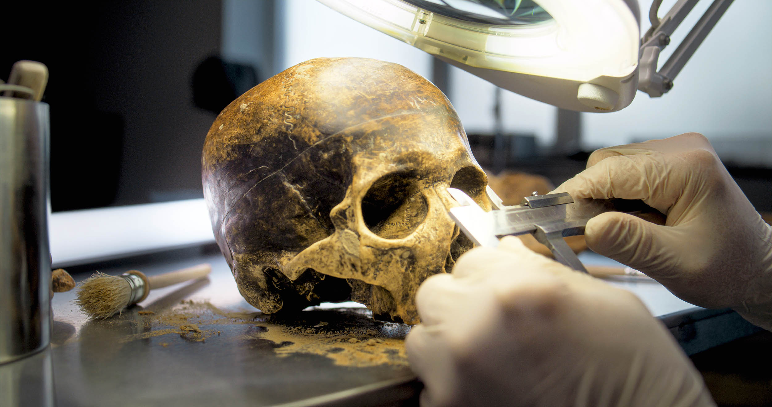 Evidence shows that Neanderthals were just as smart as modern humans