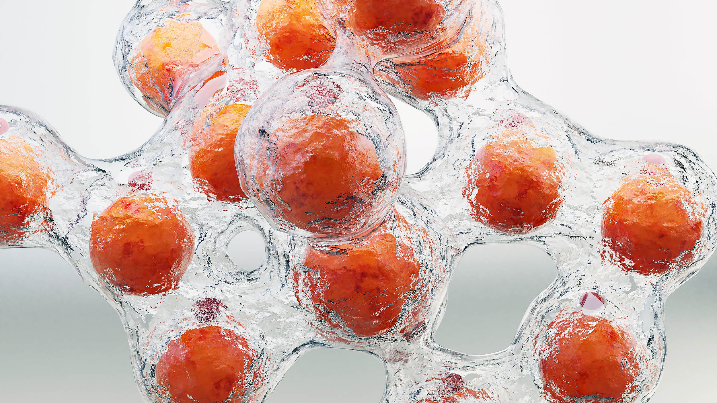 Fat-burning enzyme has a secret second job that may reshape obesity research