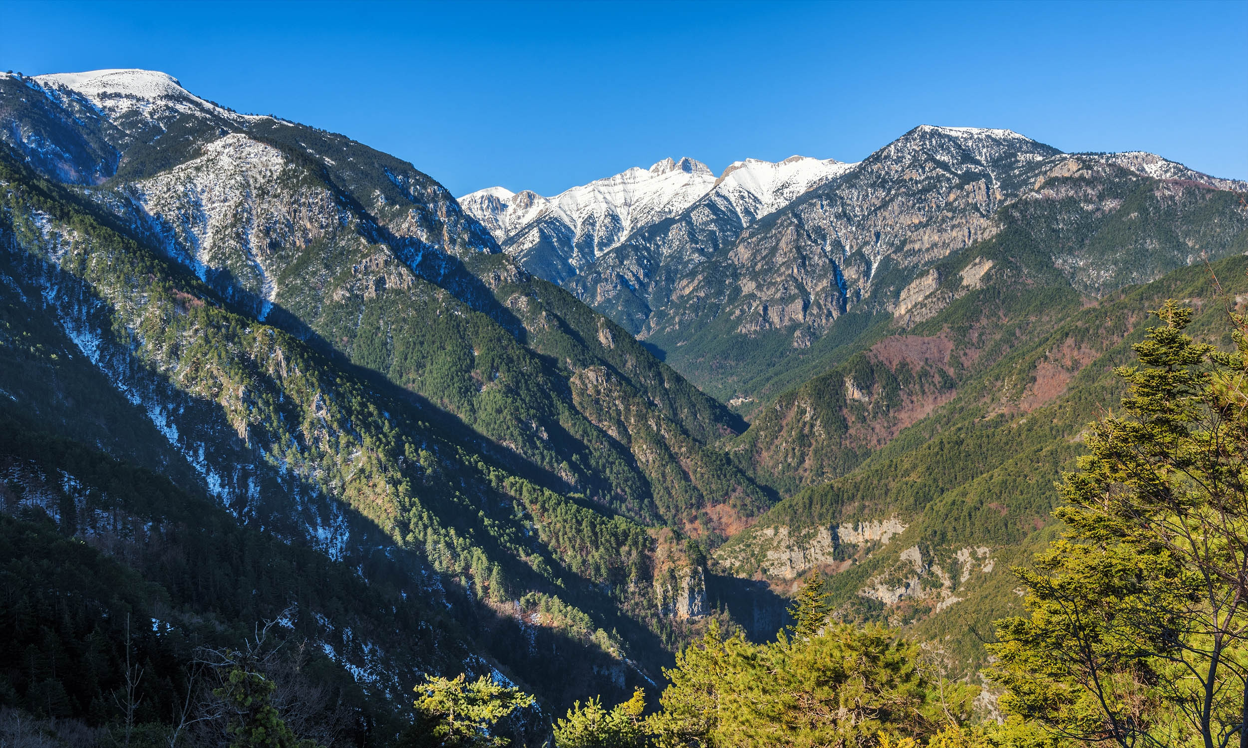 Greece's mountains have lost more than half their snow cover, an ominous warning sign for the planet