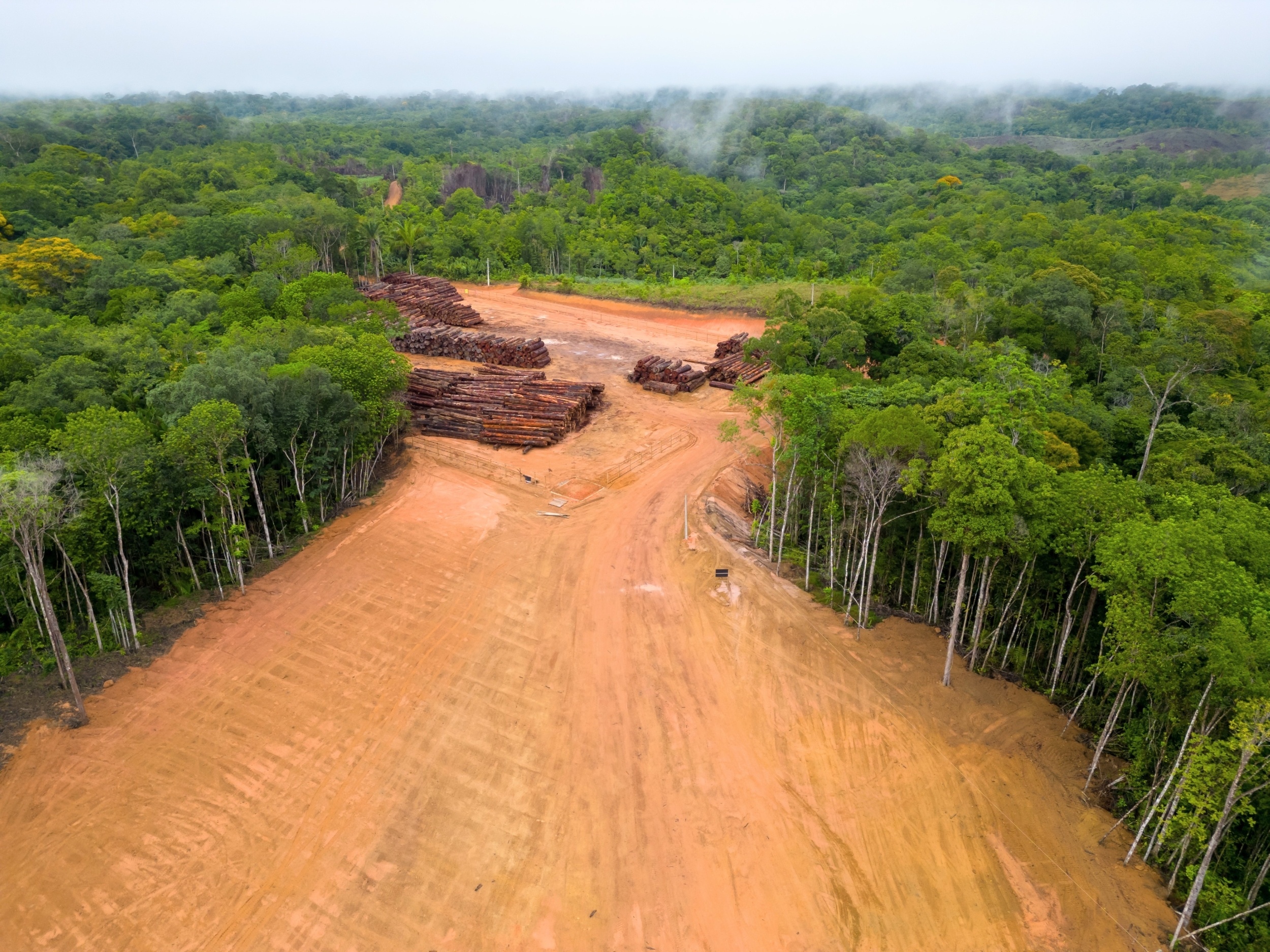 Amazon farmers may be destroying the rain their crops depend on
