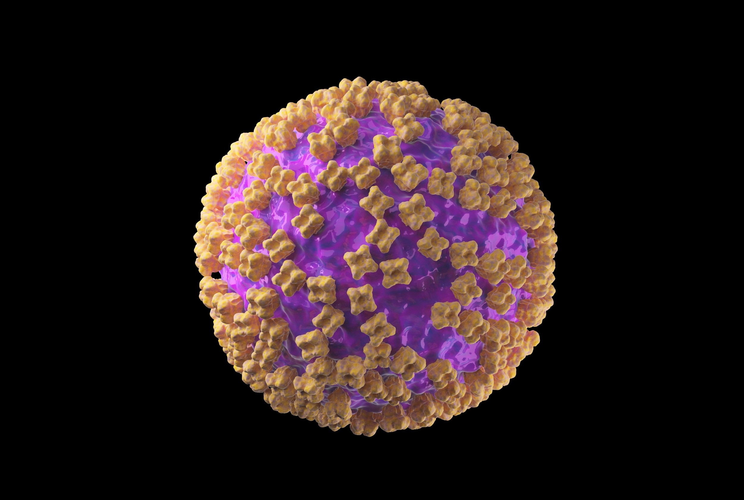 Rare hantavirus outbreak has scientists on edge over fears of a person-to-person global outbreak